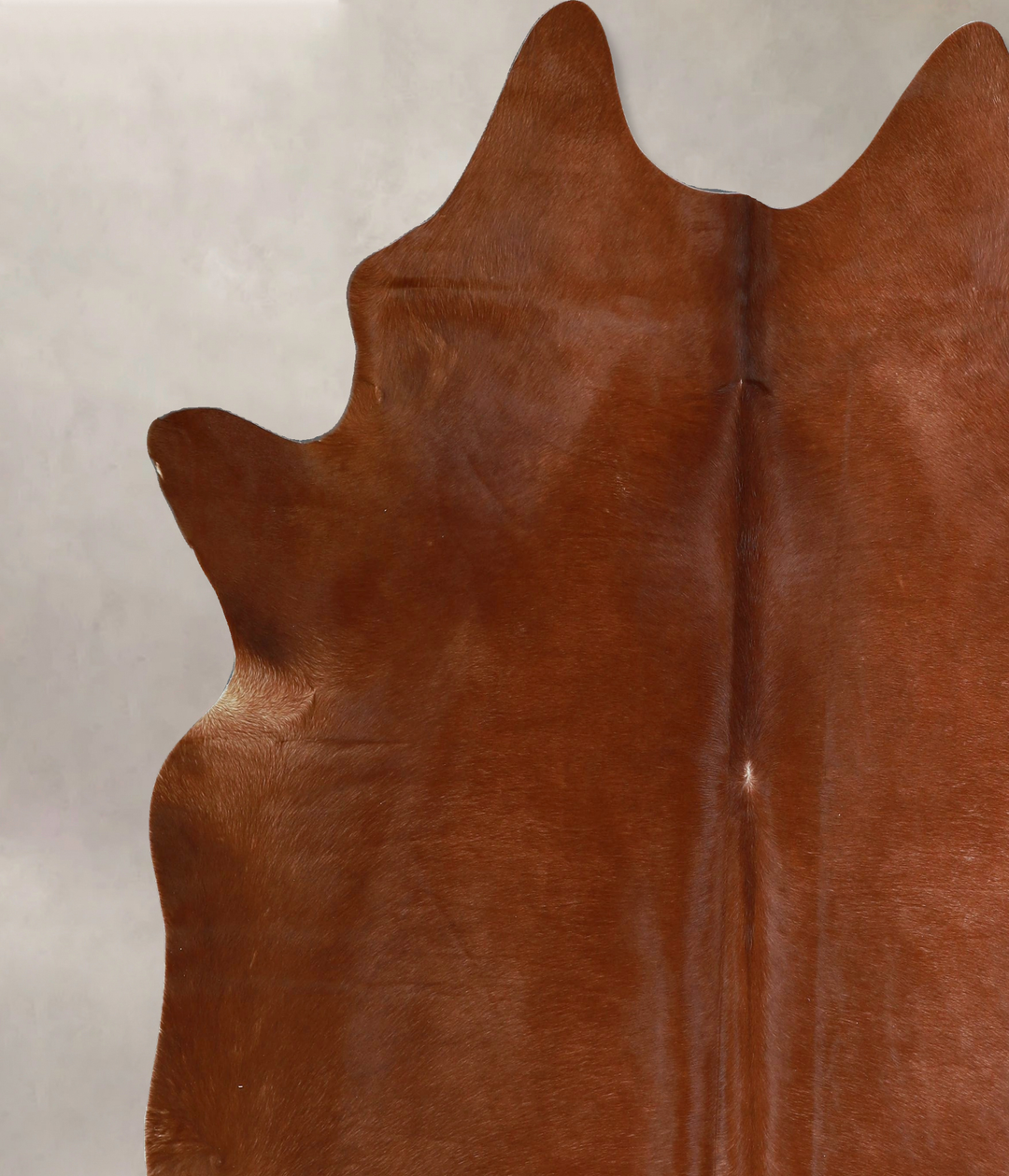 Solid Brown XX-Large Brazilian Cowhide Rug 7'6"H x 7'3"W #A45240 by Hu