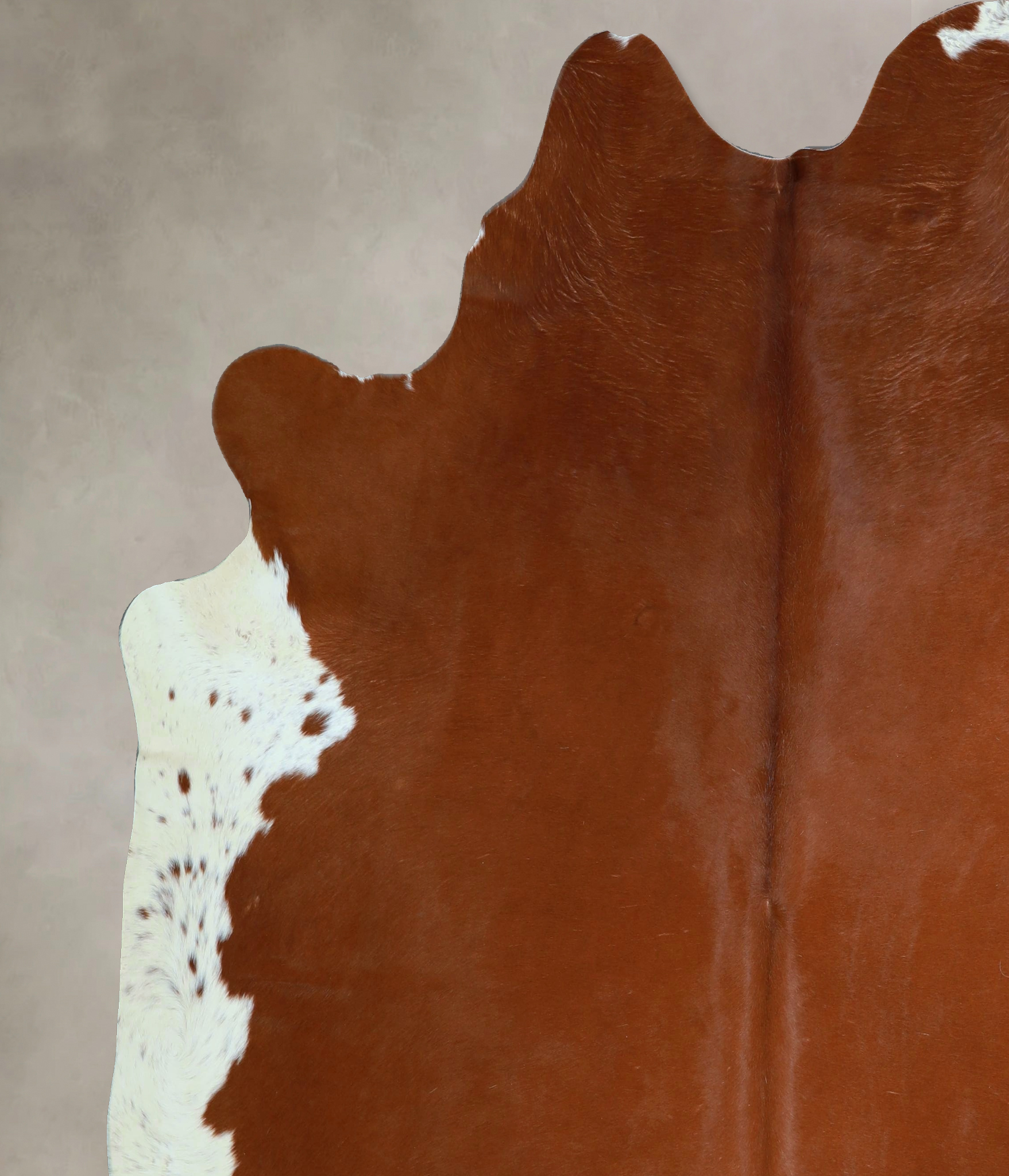 Brown and White Regular Cowhide Rug #A45242