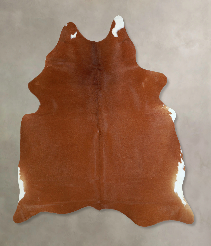 Solid Brown Large Brazilian Cowhide Rug 6'9"H x 5'9"W #A45244 by Hudson Hides