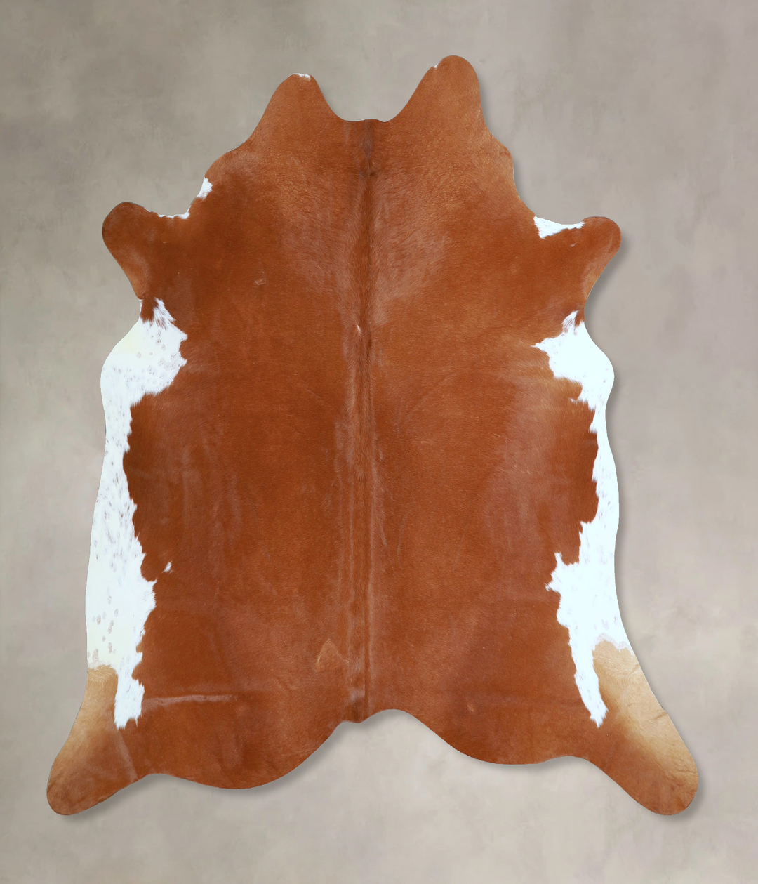 Brown and White Regular X-Large Brazilian Cowhide Rug 6'3"H x 6'6"W #A