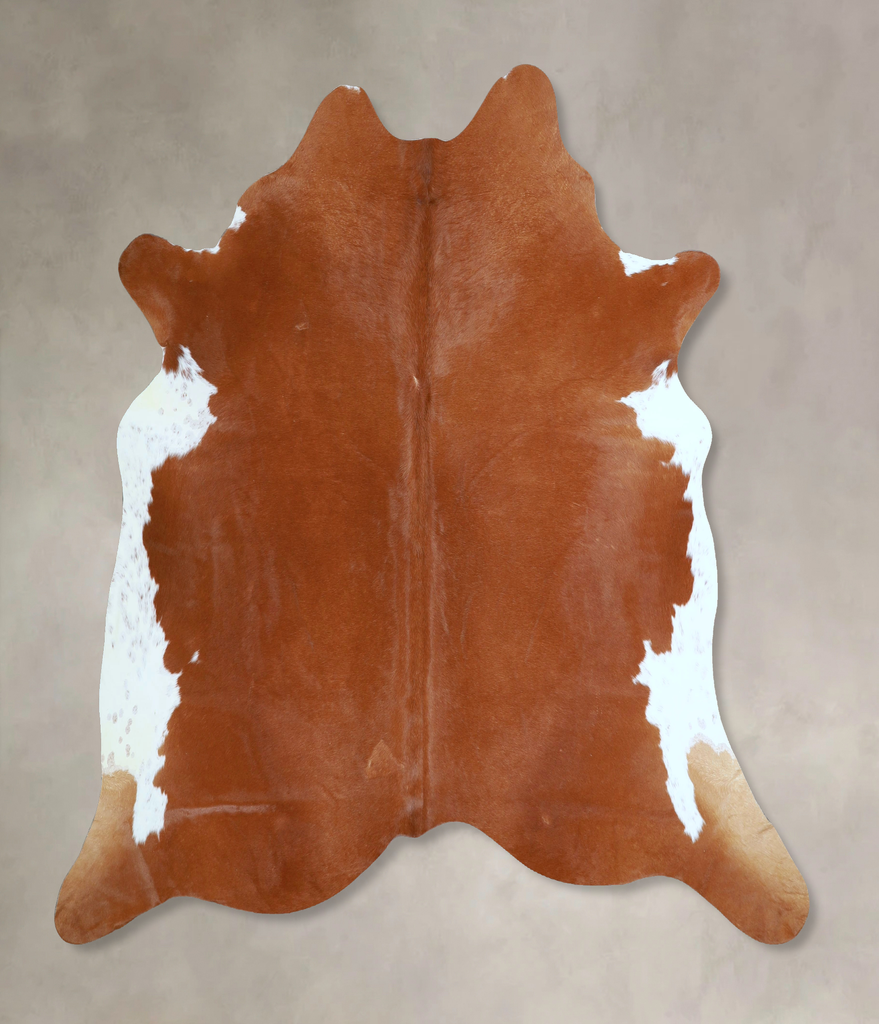 Brown and White Regular X-Large Brazilian Cowhide Rug 6'3"H x 6'6"W #A45245 by Hudson Hides