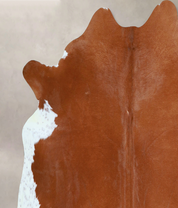 Brown and White Regular X-Large Brazilian Cowhide Rug 6'3"H x 6'6"W #A45245 by Hudson Hides