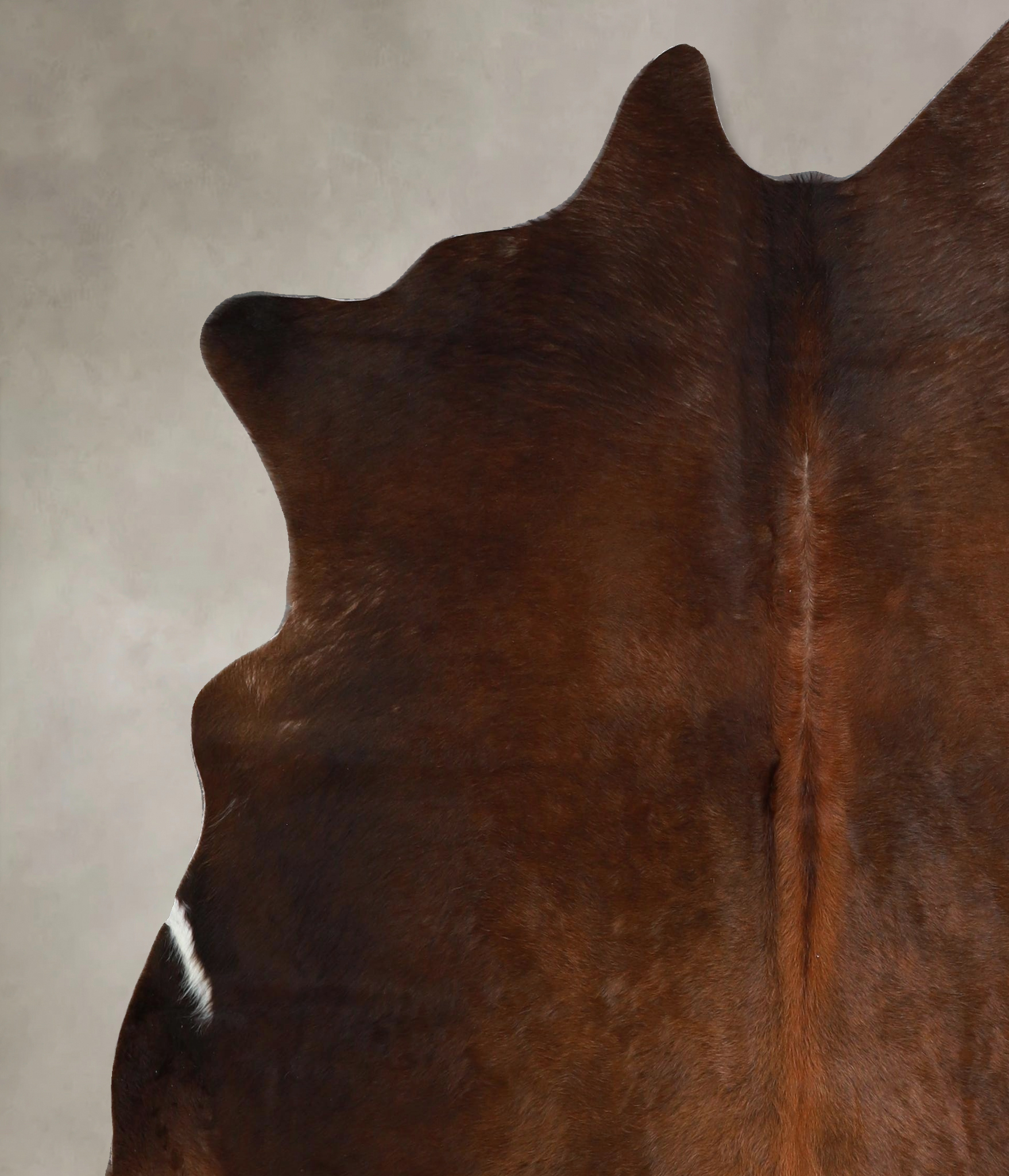 Chocolate Cowhide Rug #A45256