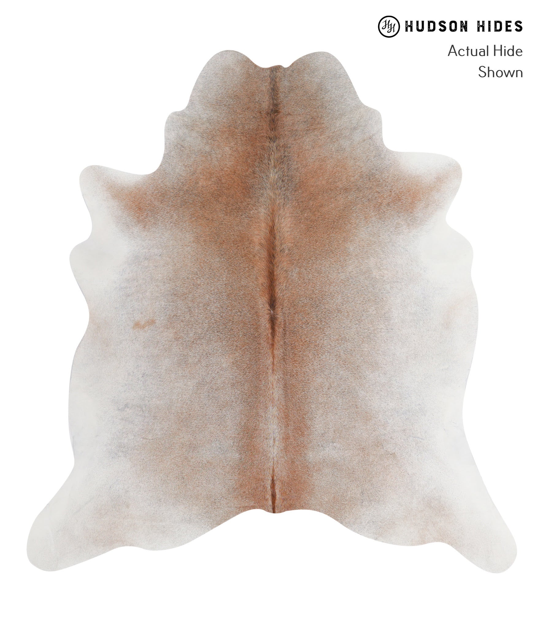Grey with Beige Cowhide Rug #A4527