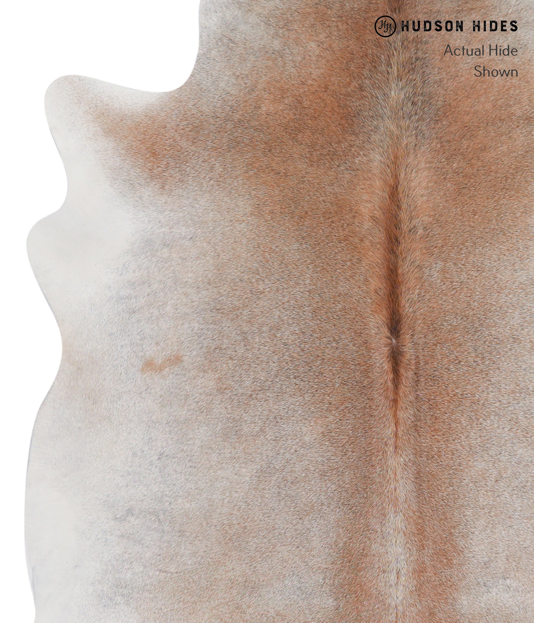 Grey with Beige Cowhide Rug #A4527