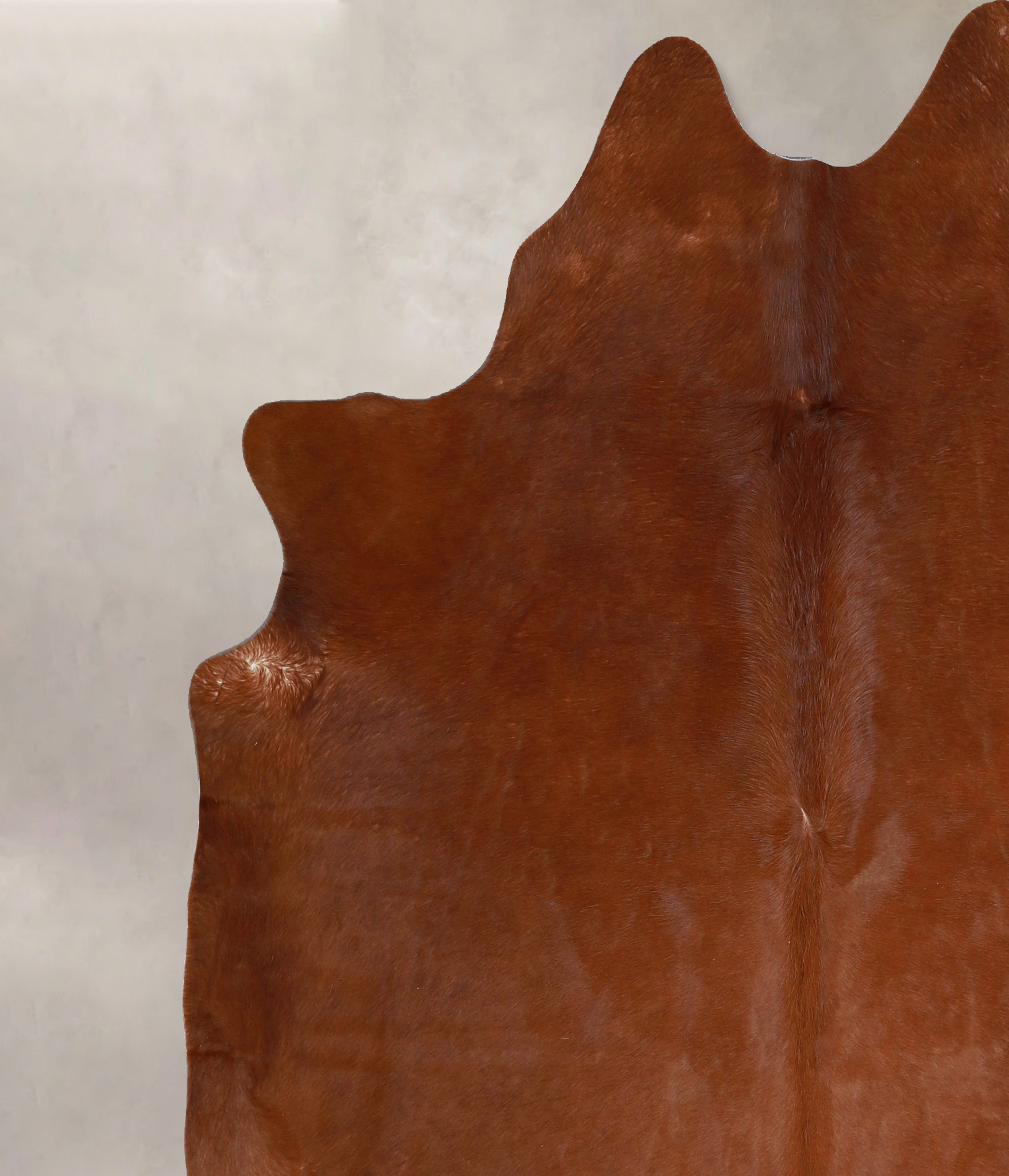 Solid Brown Cowhide Rug #A45273