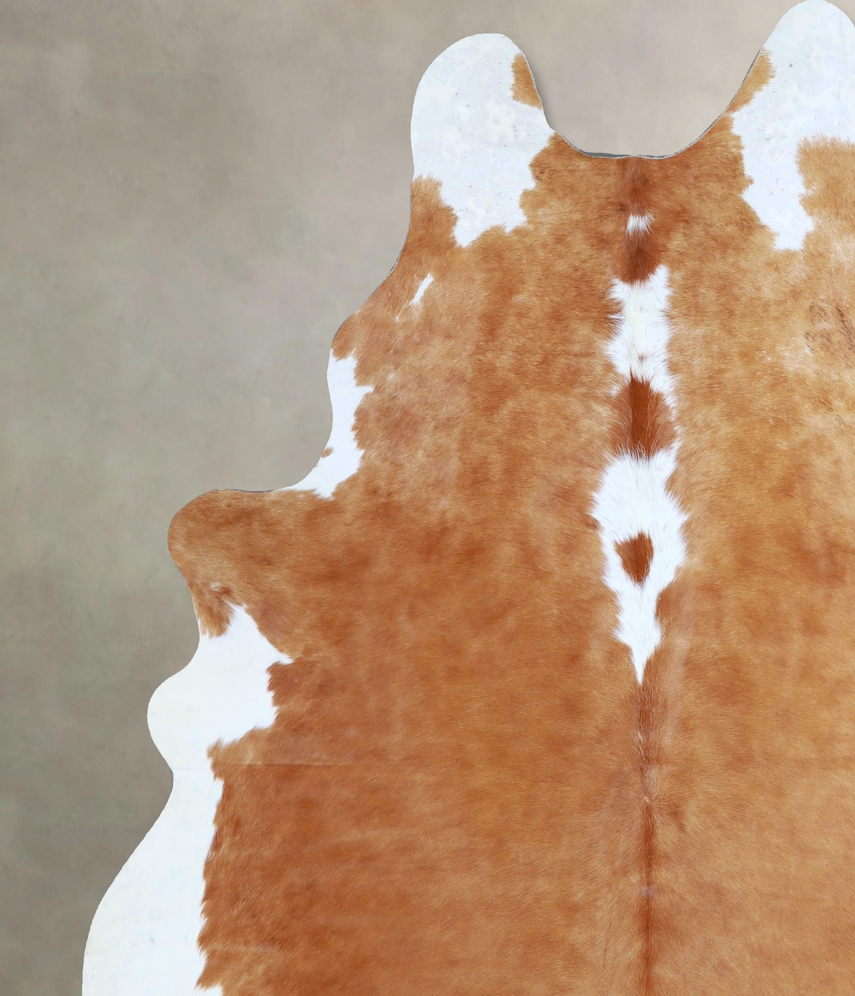 Brown and White Regular Cowhide Rug #A45274