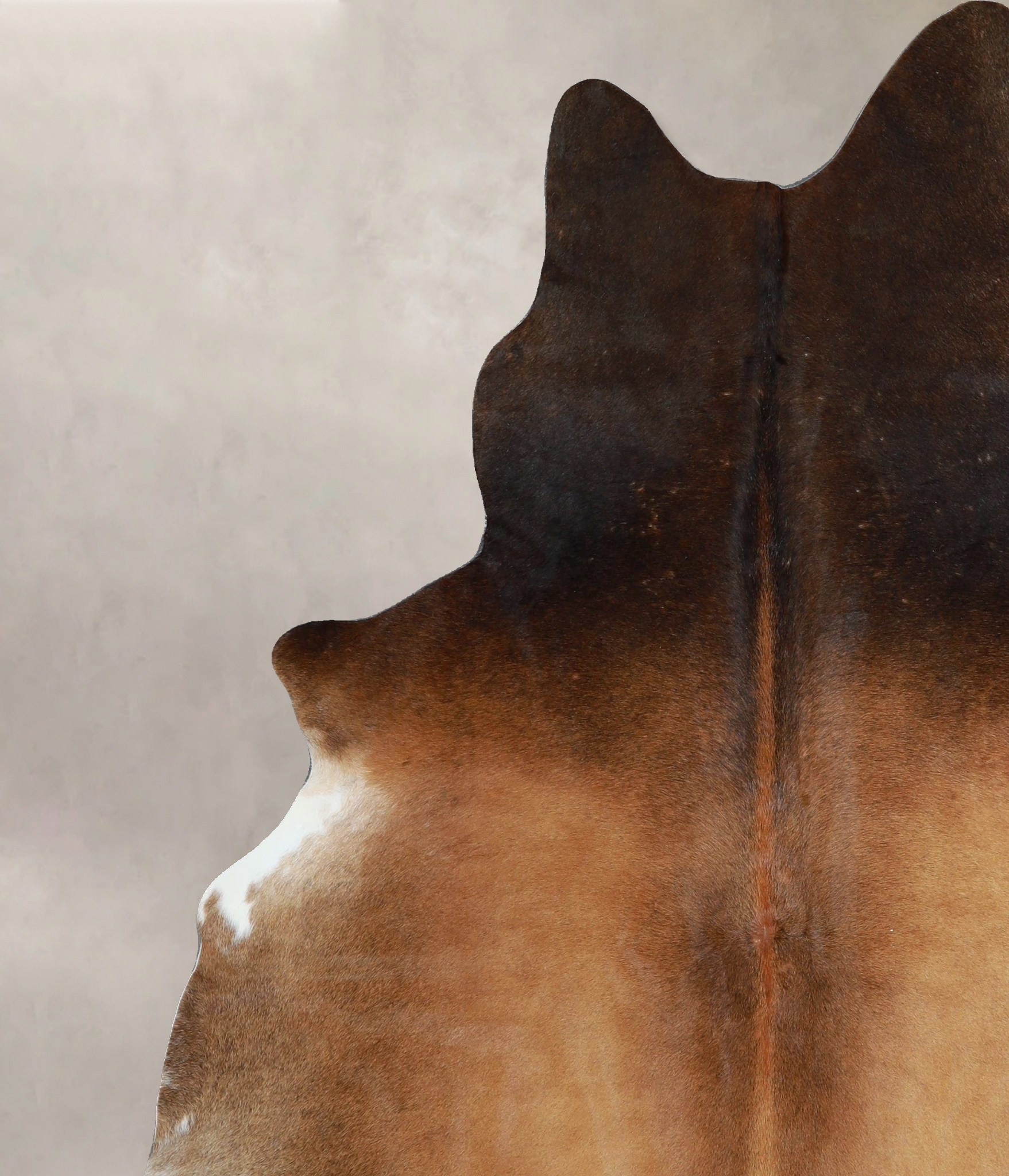Warm Caramel Cowhide Rug #A45276