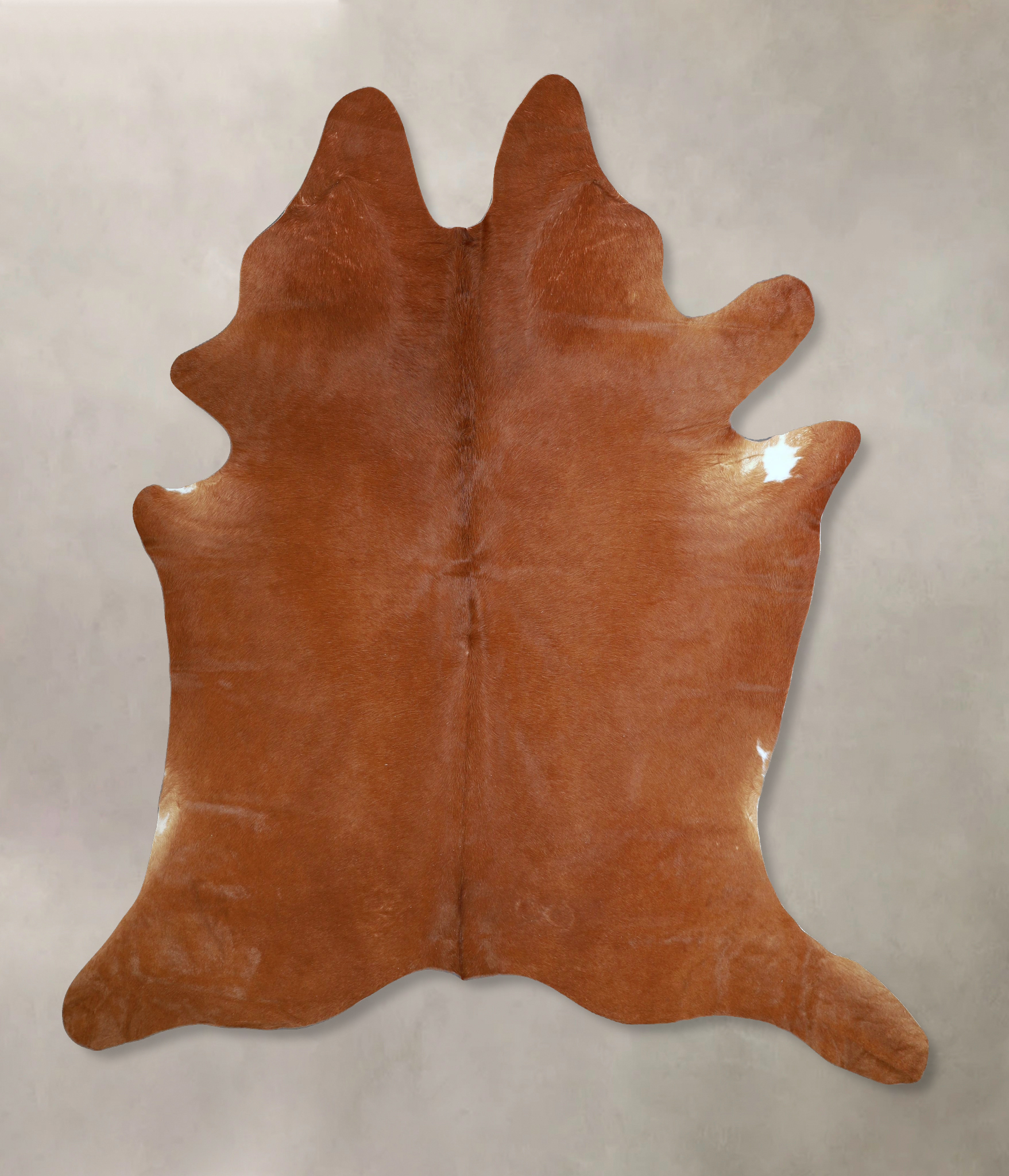 Solid Brown Cowhide Rug #A45277