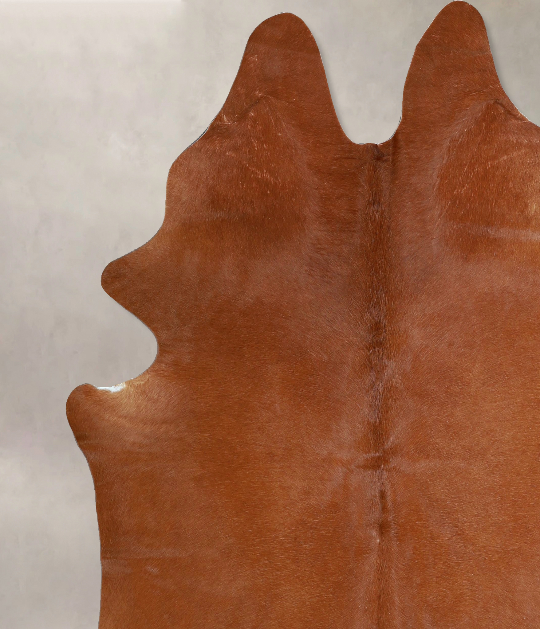 Solid Brown Cowhide Rug #A45277