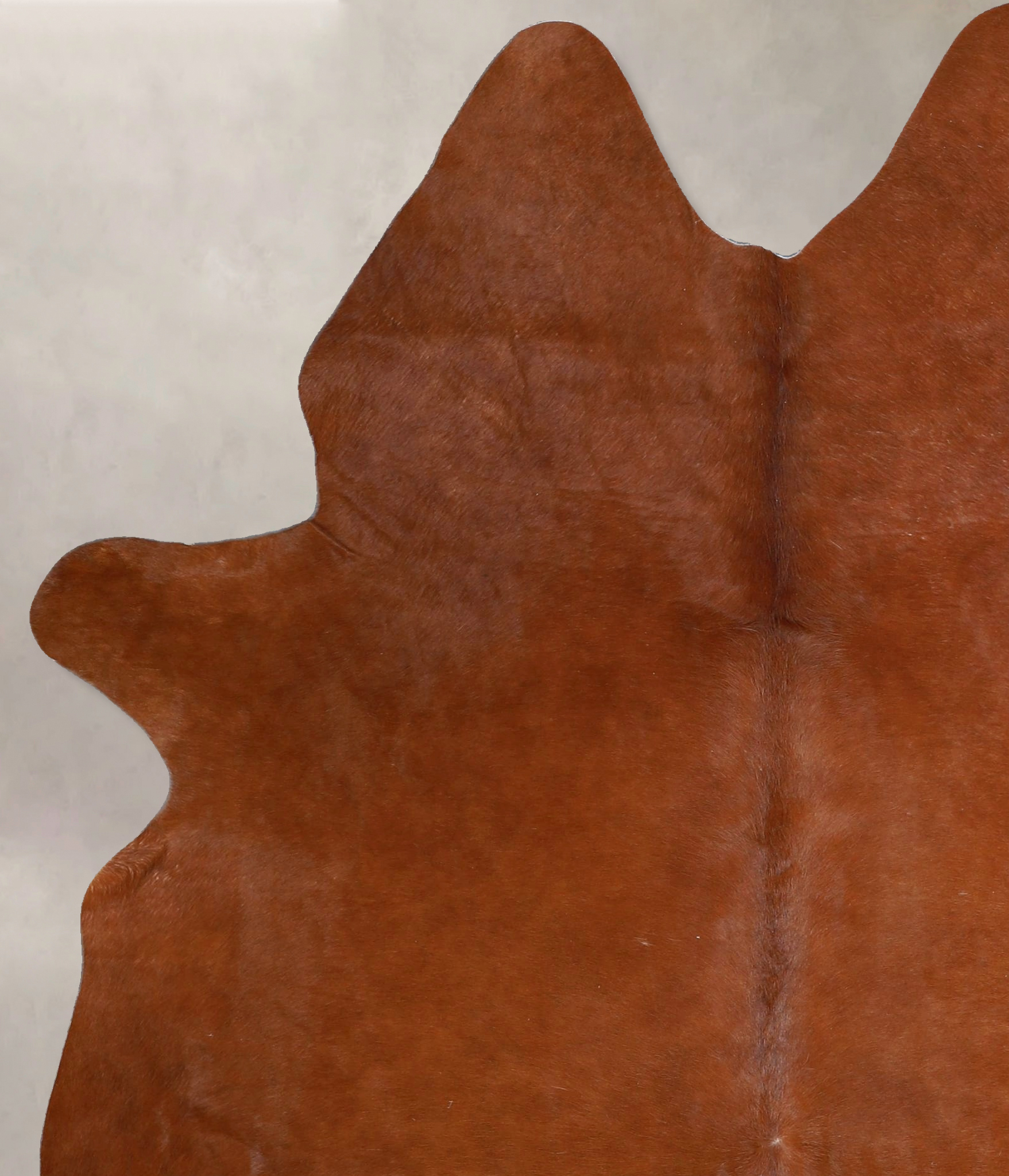 Solid Brown Cowhide Rug #A45279