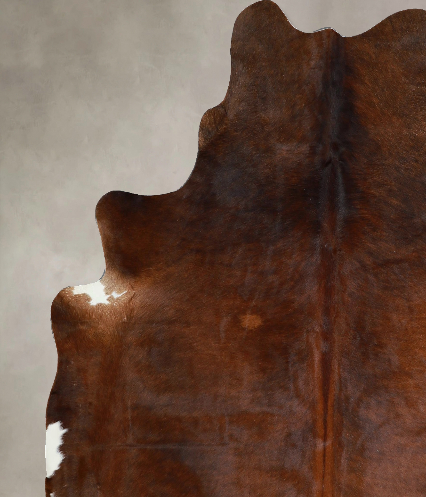 Chocolate Cowhide Rug #A45281