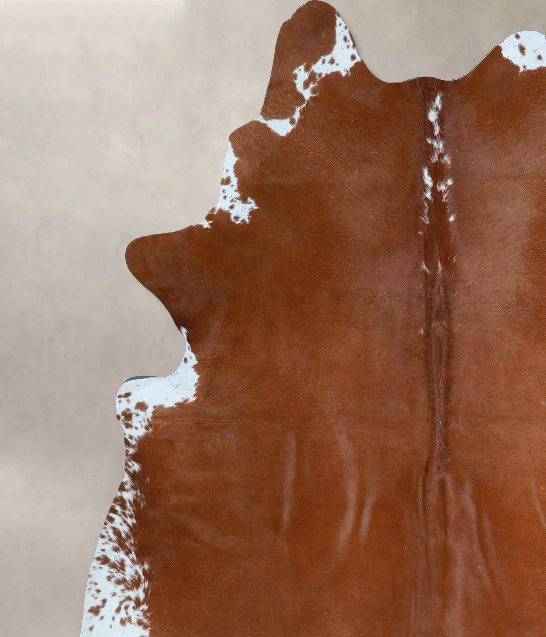 Brown and White Regular Cowhide Rug #A45285