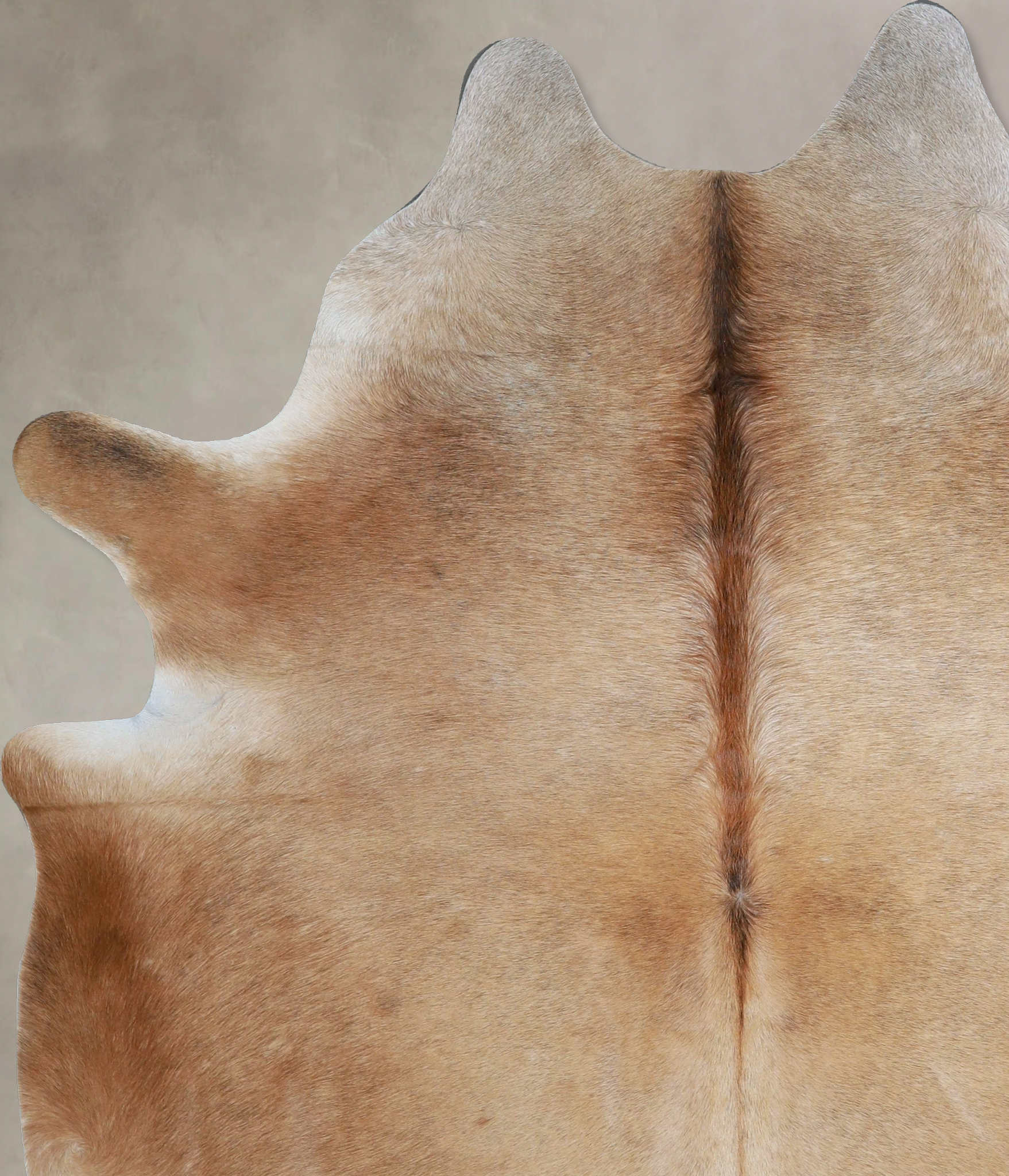 Beige Cowhide Rug #A45290