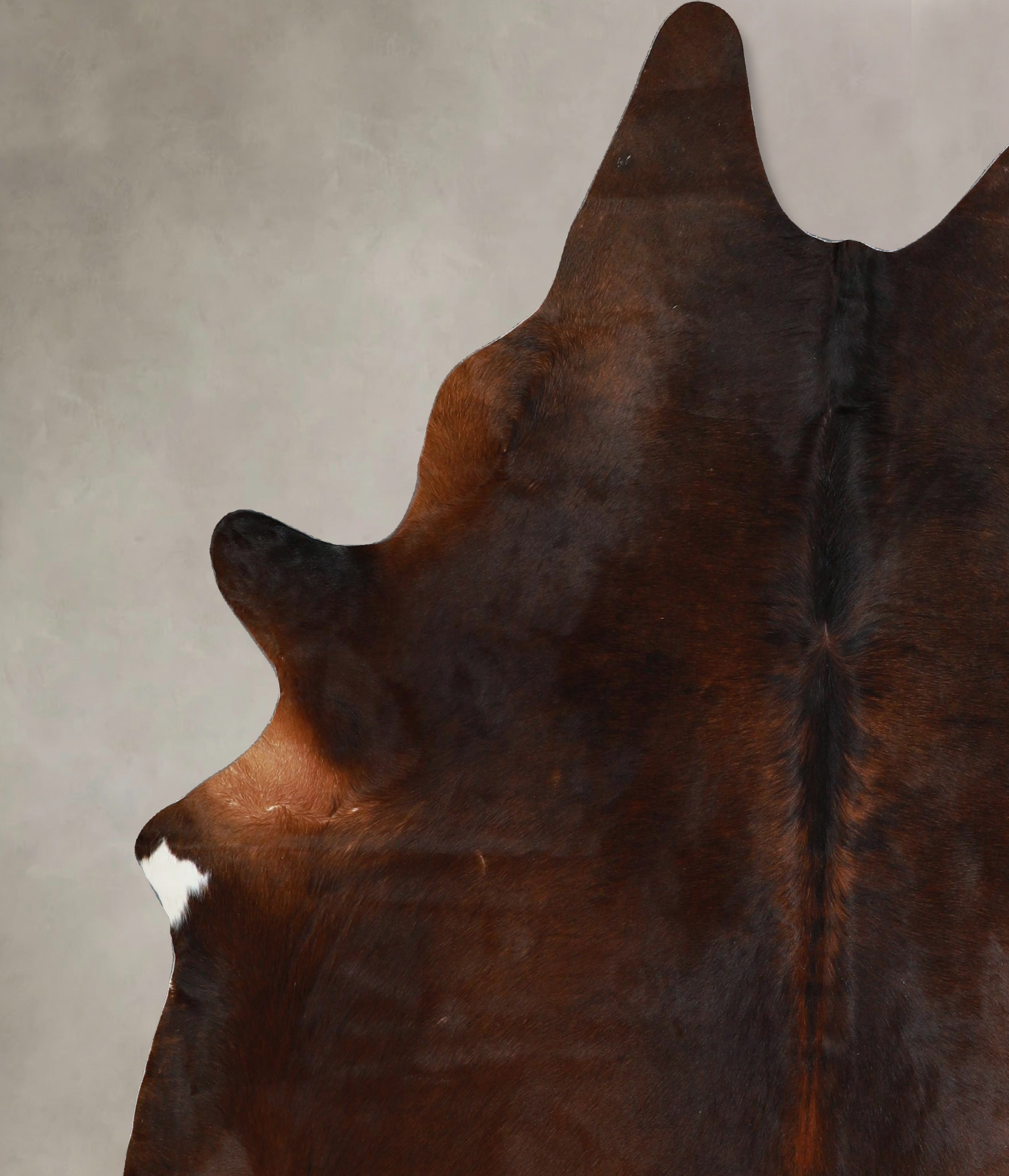Warm Caramel Cowhide Rug #A45307