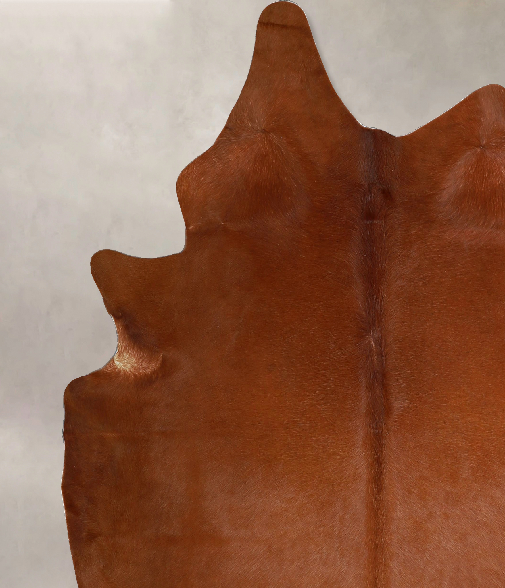Solid Brown Cowhide Rug #A45312