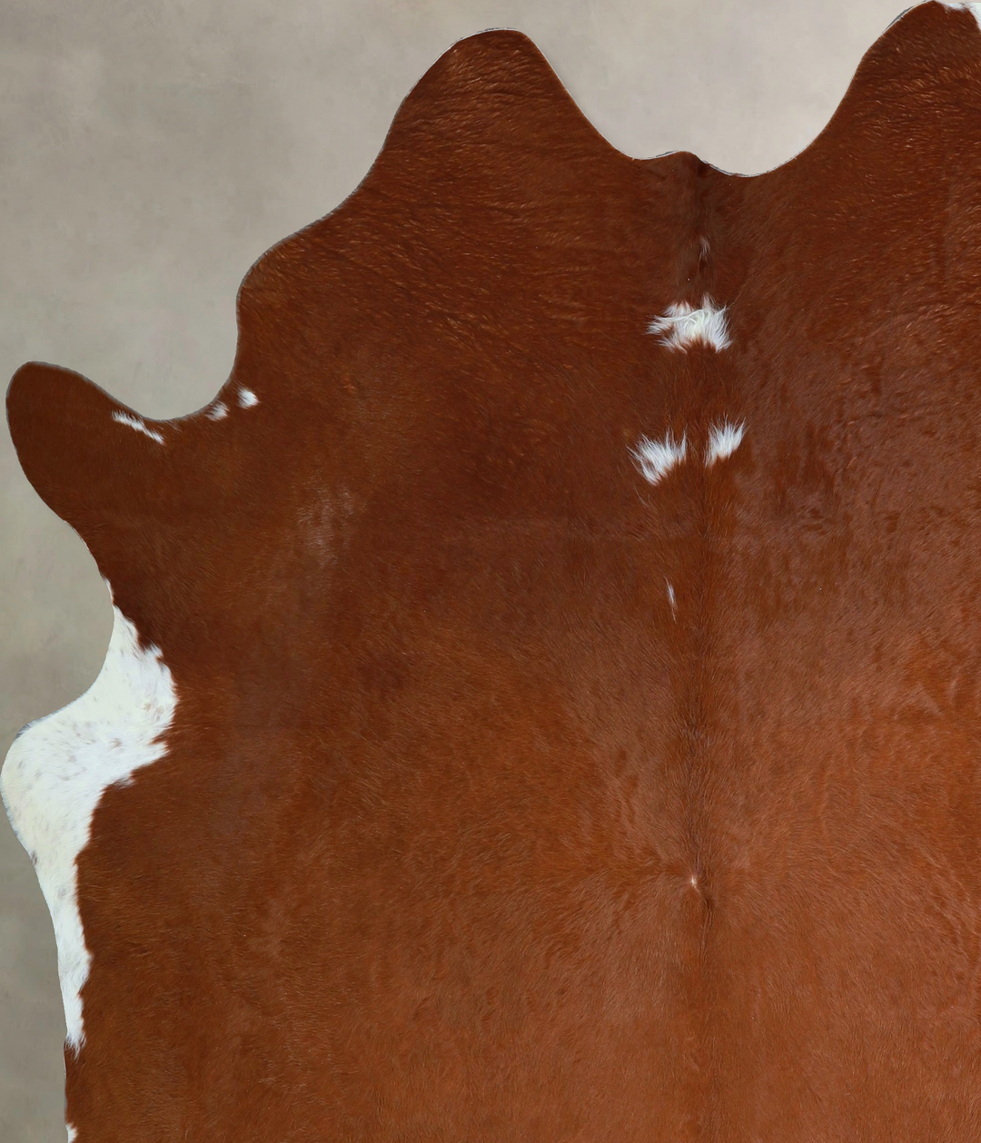 Brown and White Regular X-Large Brazilian Cowhide Rug 7'6"H x 6'8"W #A