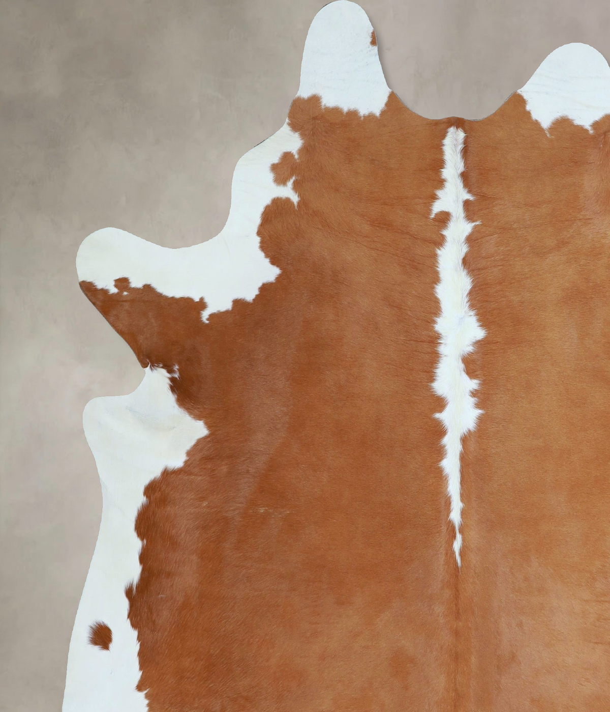 Hereford X-Large Brazilian Cowhide Rug 7'2"H x 6'5"W #A45338 by Hudson Hides