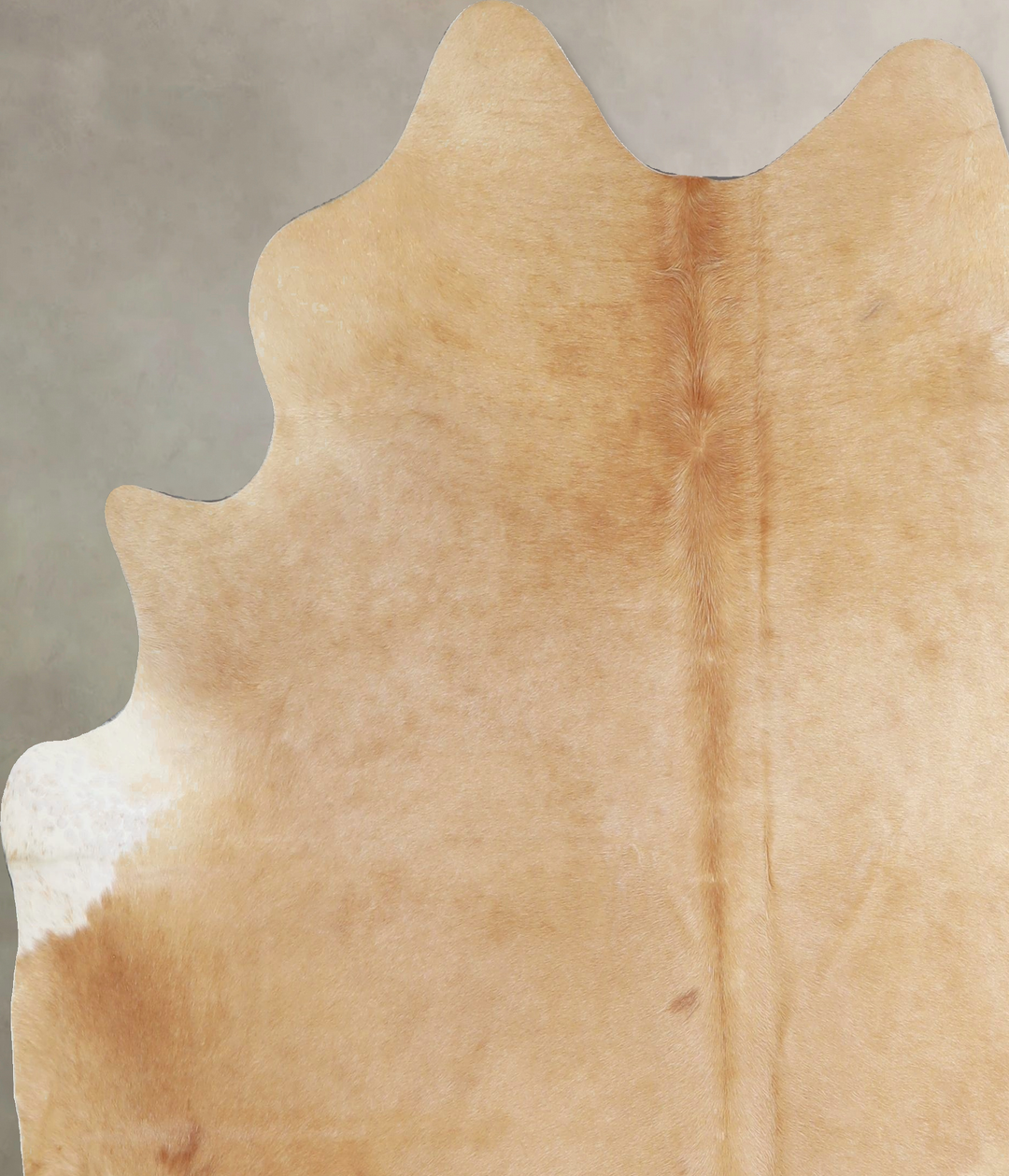 Palomino Large Brazilian Cowhide Rug 6'5"H x 5'9"W #A45350 by Hudson H