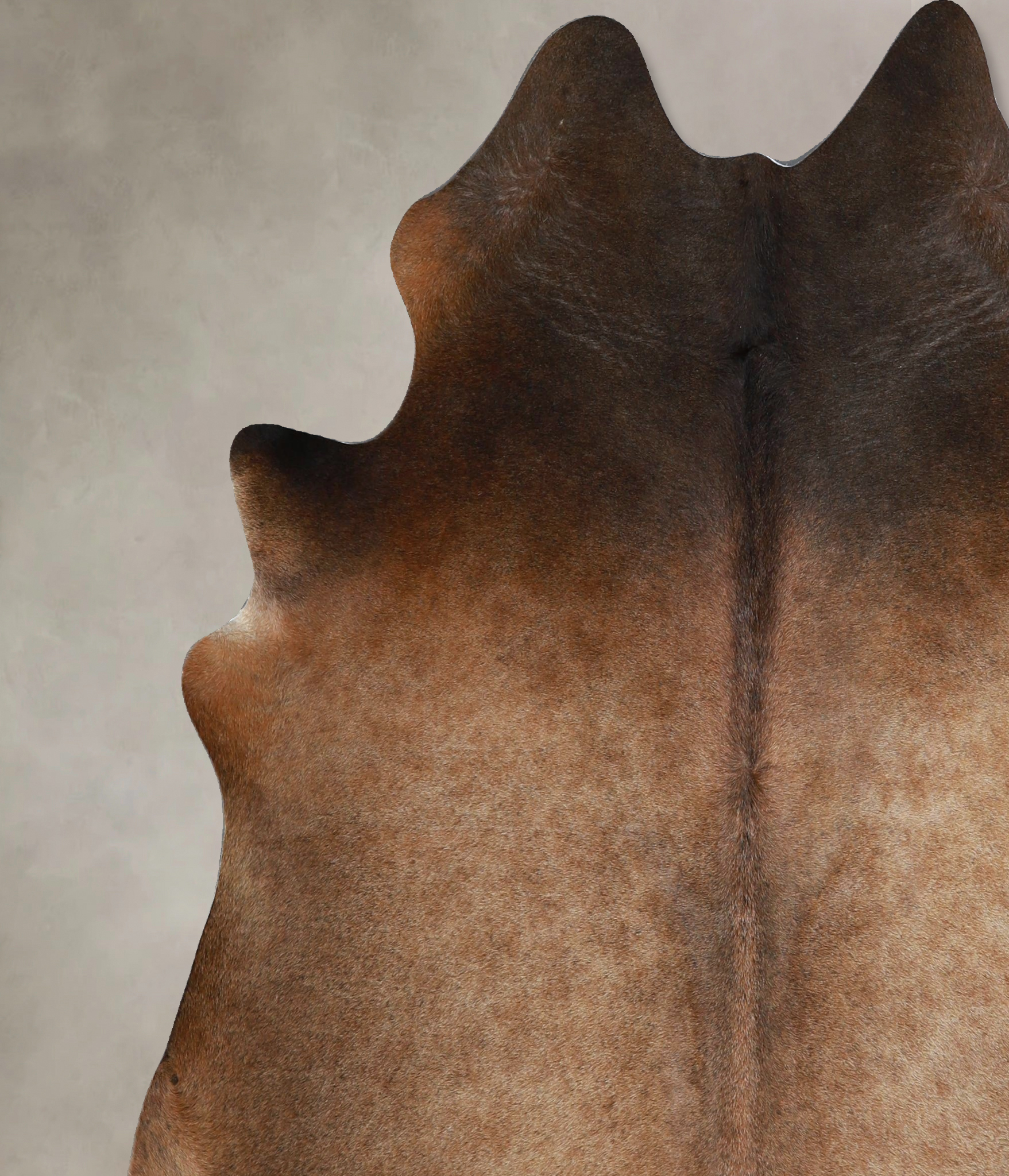Chocolate Cowhide Rug #A45351