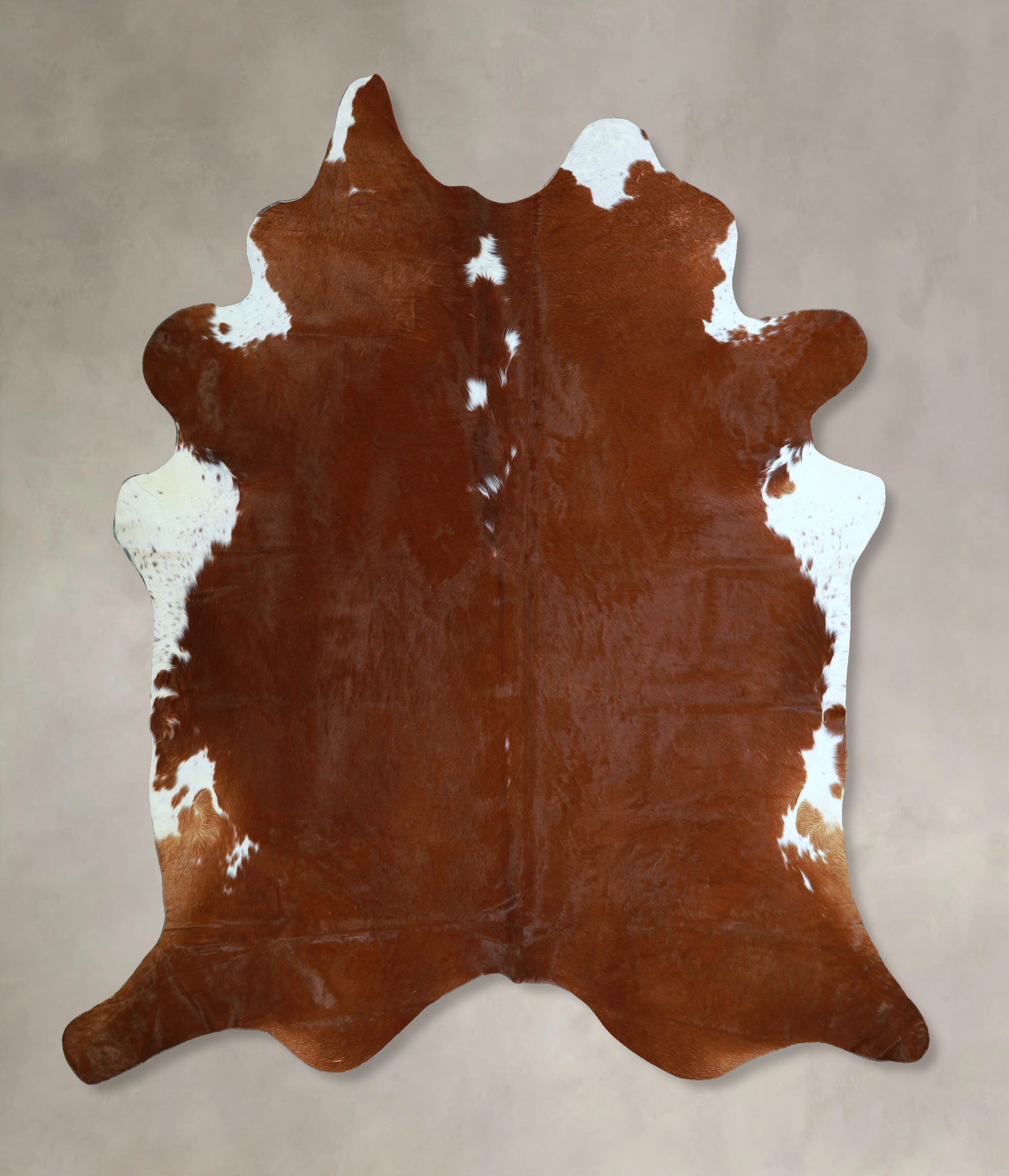 Brown and White Regular Cowhide Rug #A45366
