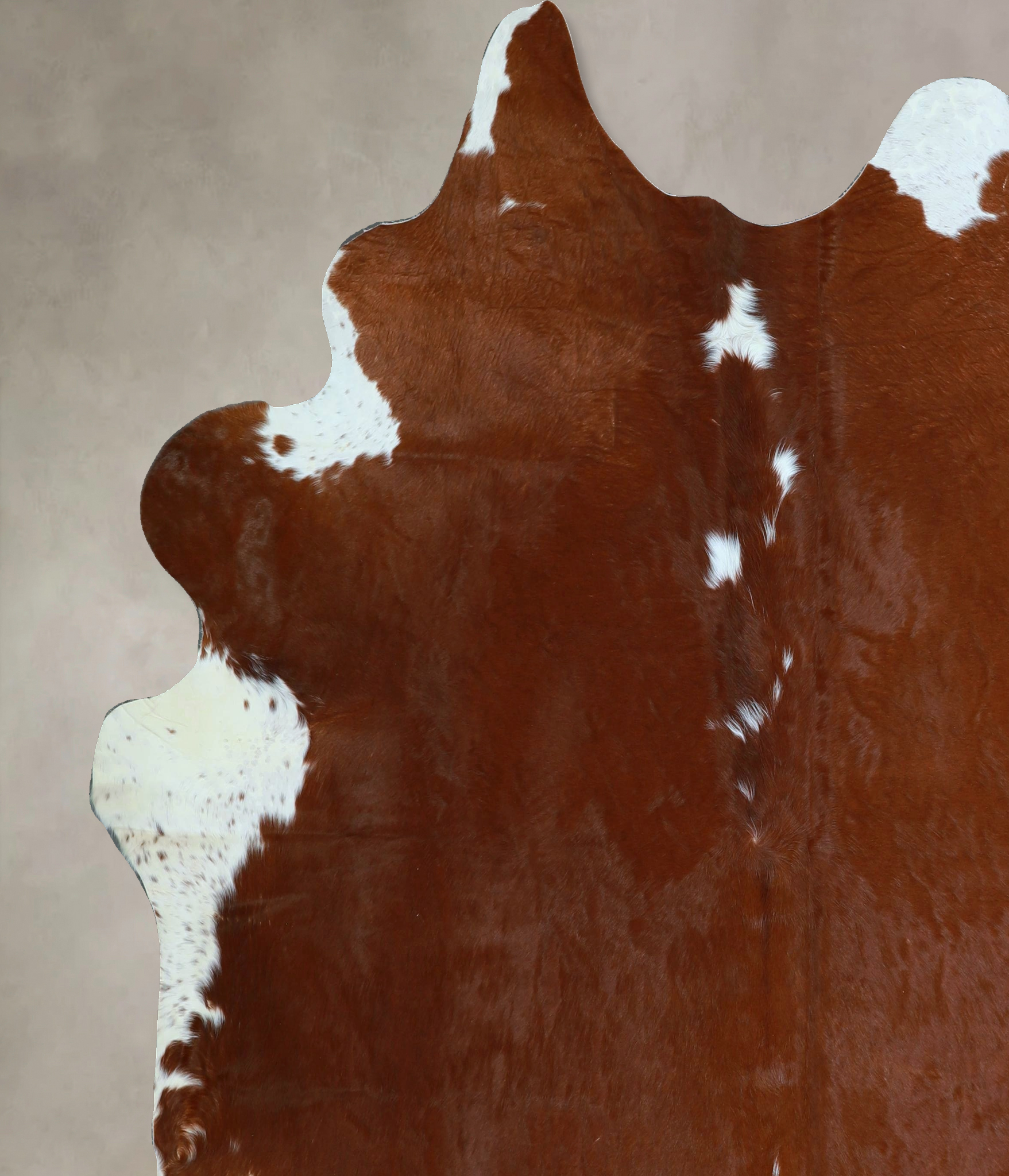 Brown and White Regular Cowhide Rug #A45366