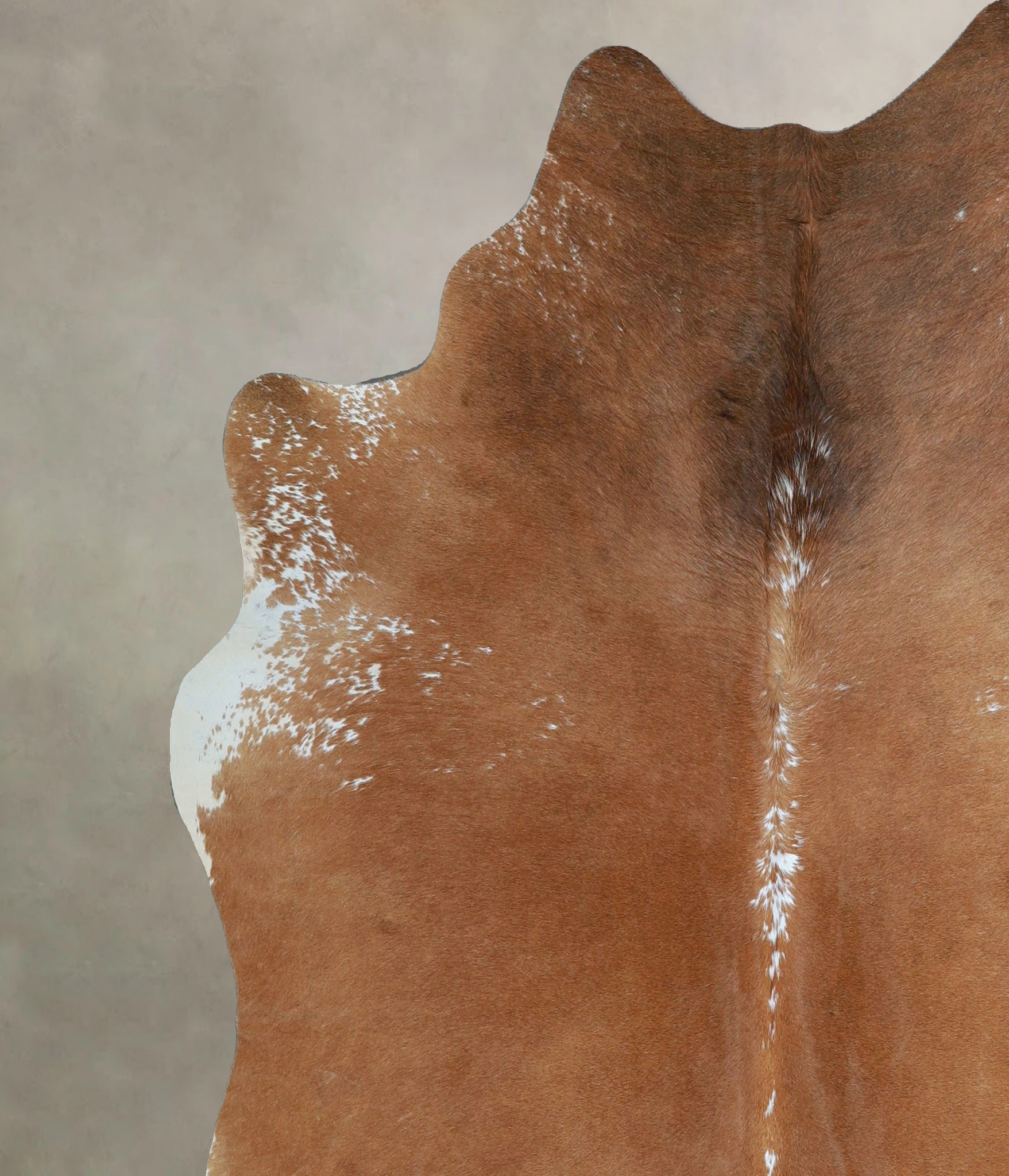Brown and White Regular Cowhide Rug #A45386