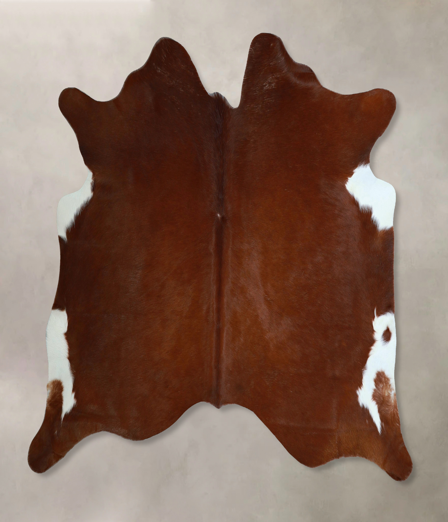 Brown and White Regular Cowhide Rug #A45387