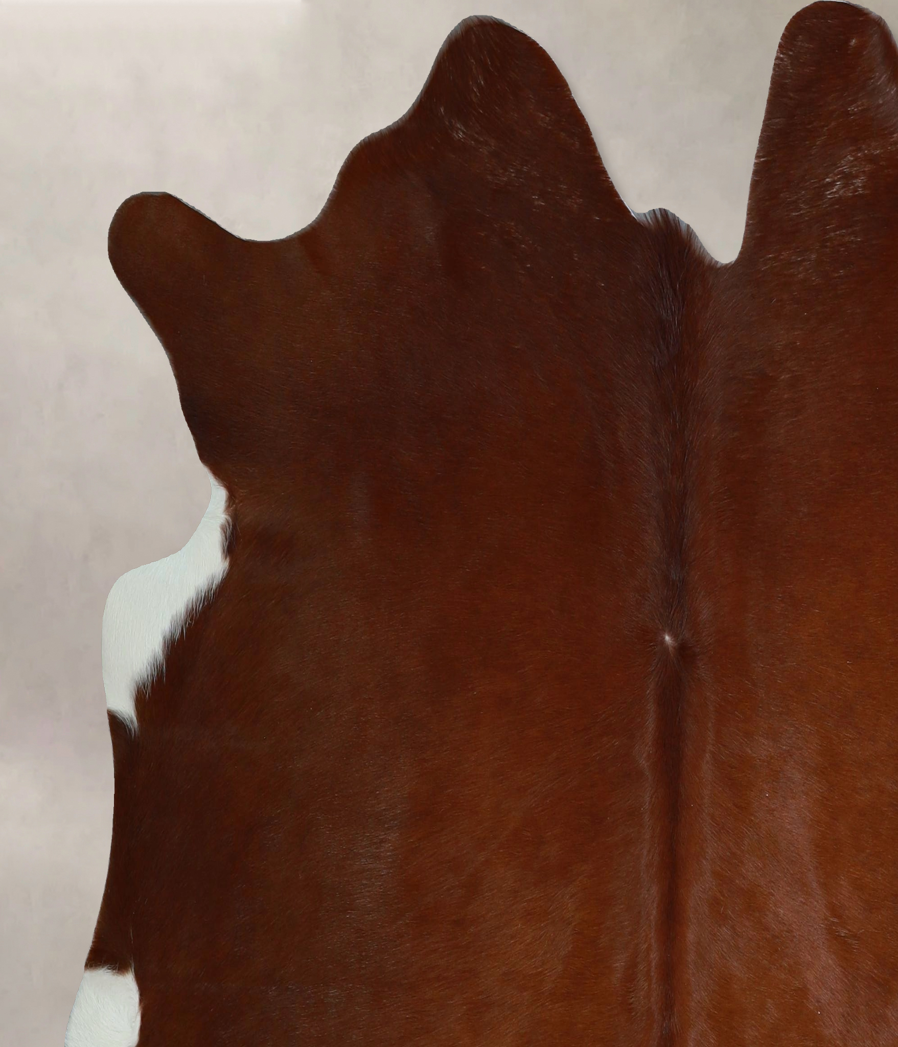 Brown and White Regular Cowhide Rug #A45387