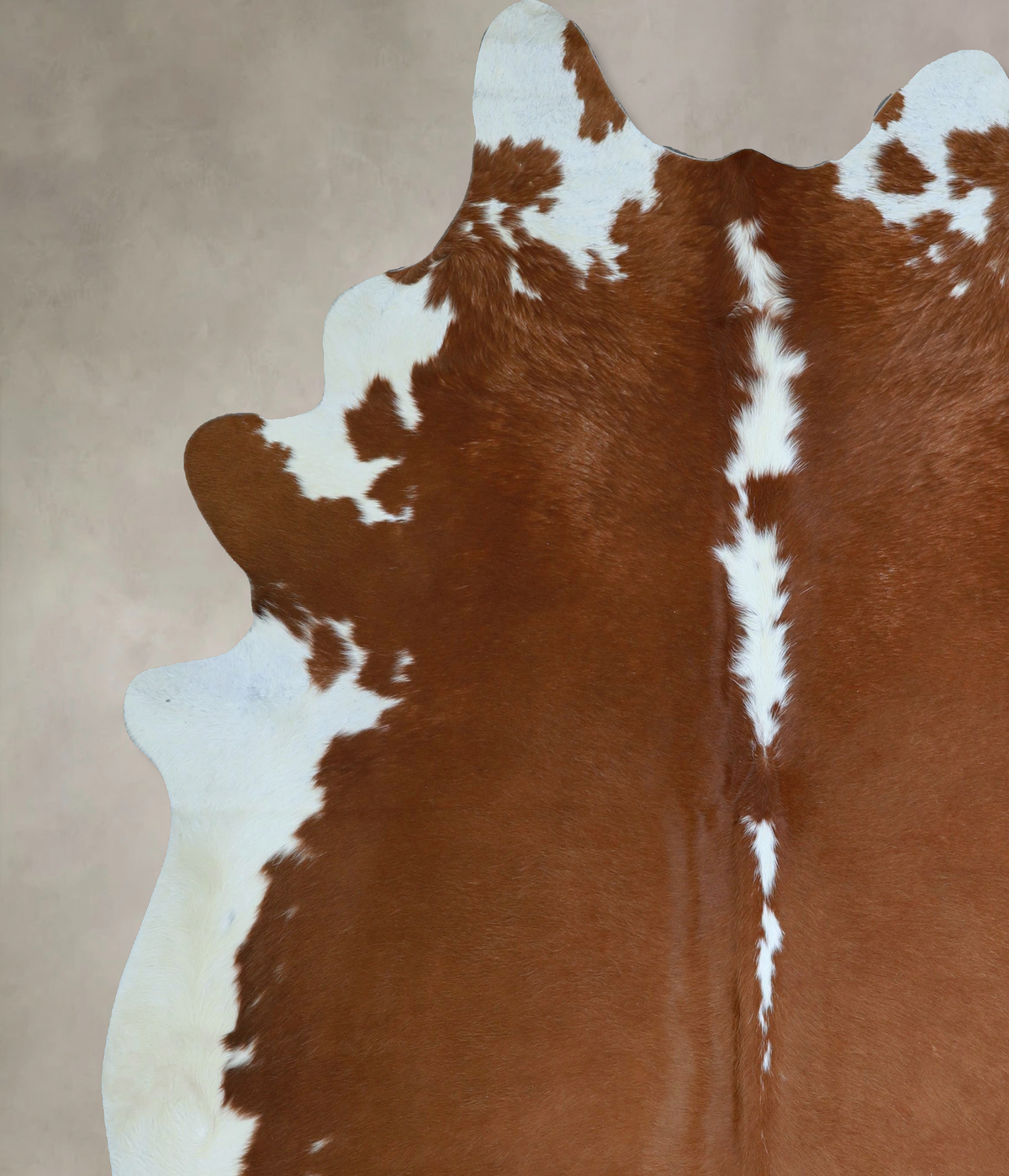 Hereford XX-Large Brazilian Cowhide Rug 8'2"H x 7'2"W #A45407 by Hudson Hides