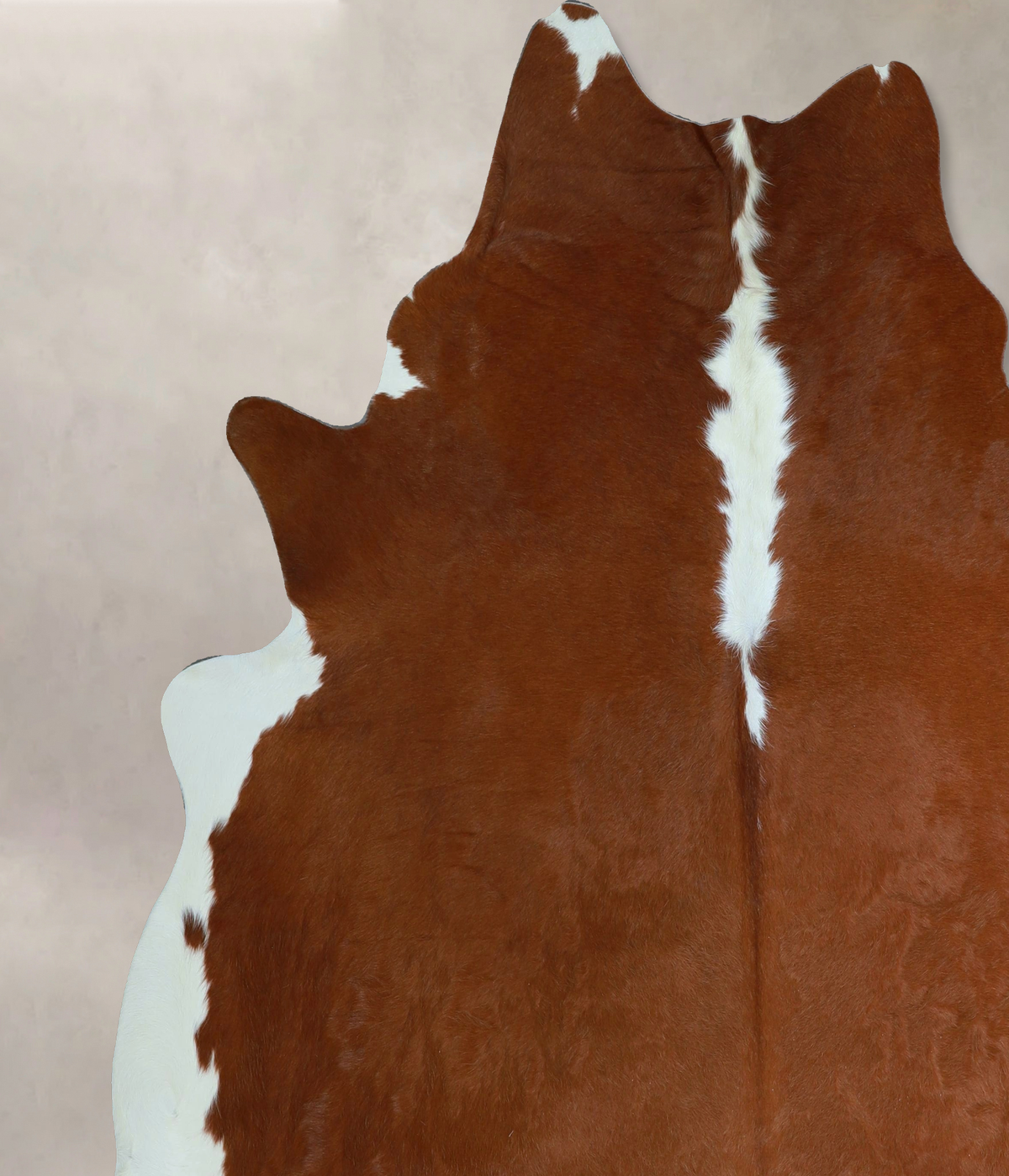 Hereford XX-Large Brazilian Cowhide Rug 7'6"H x 7'4"W #A45408 by Hudson Hides