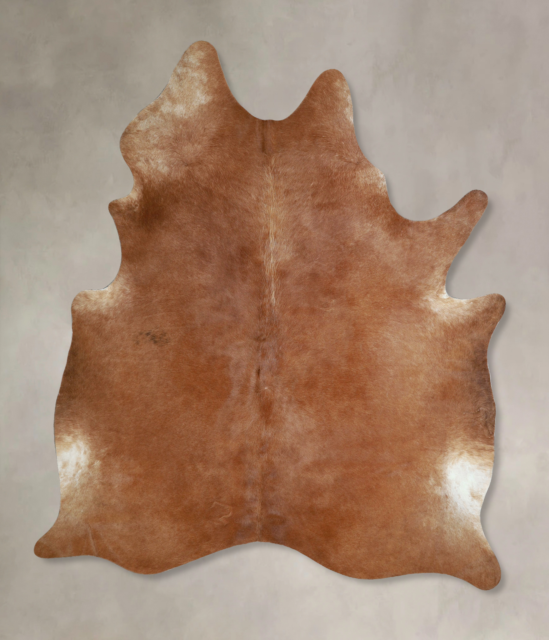 Solid Brown Cowhide Rug #A45424