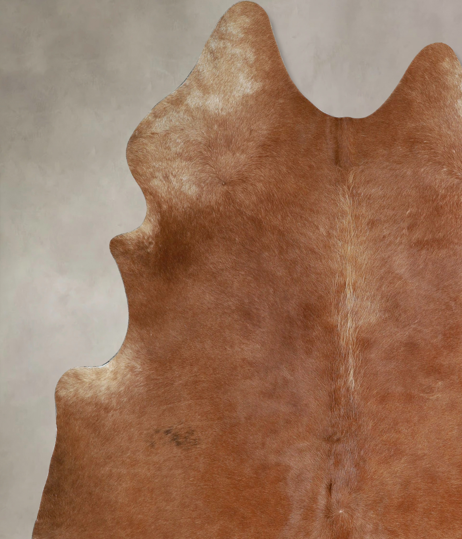 Solid Brown Cowhide Rug #A45424