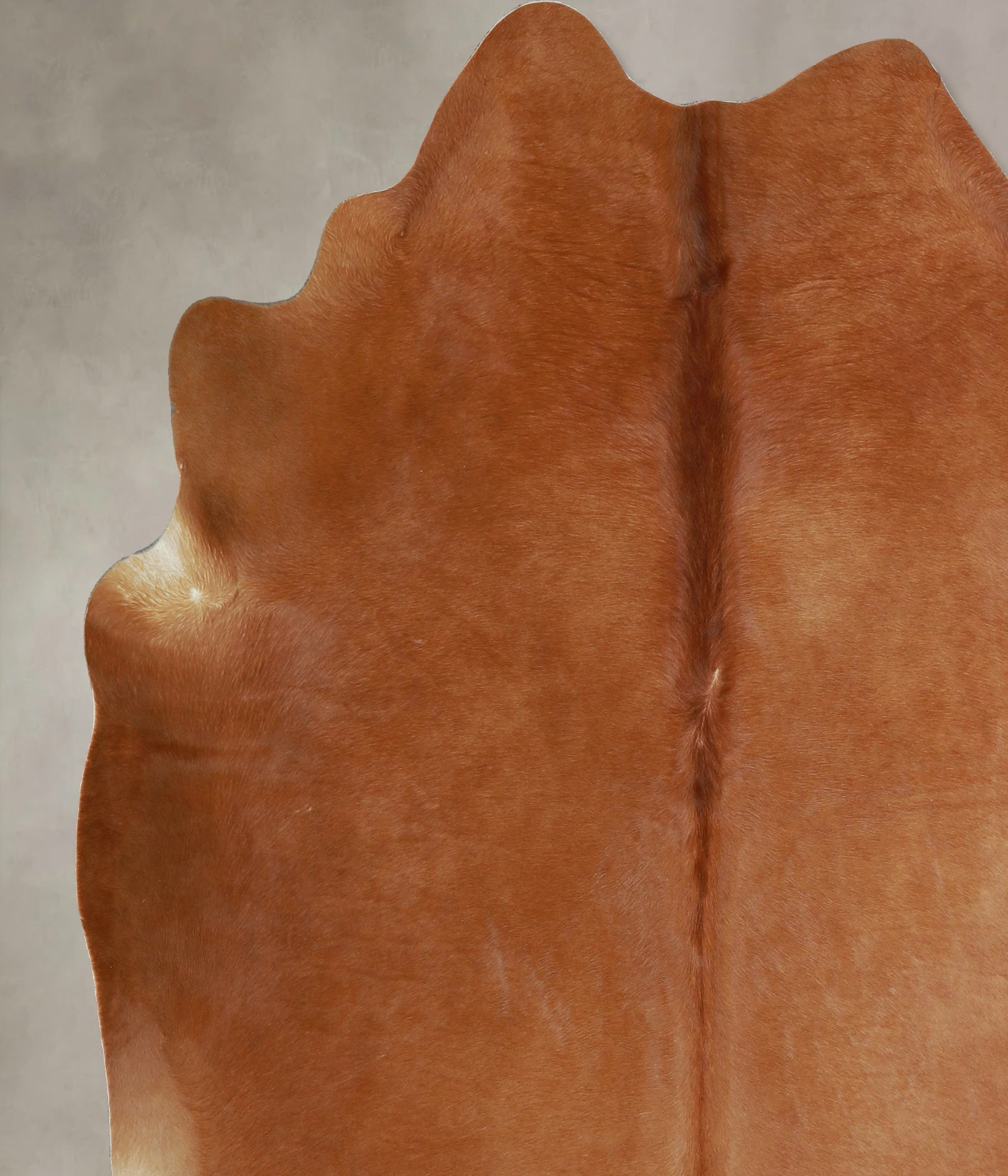 Solid Brown Cowhide Rug #A45425