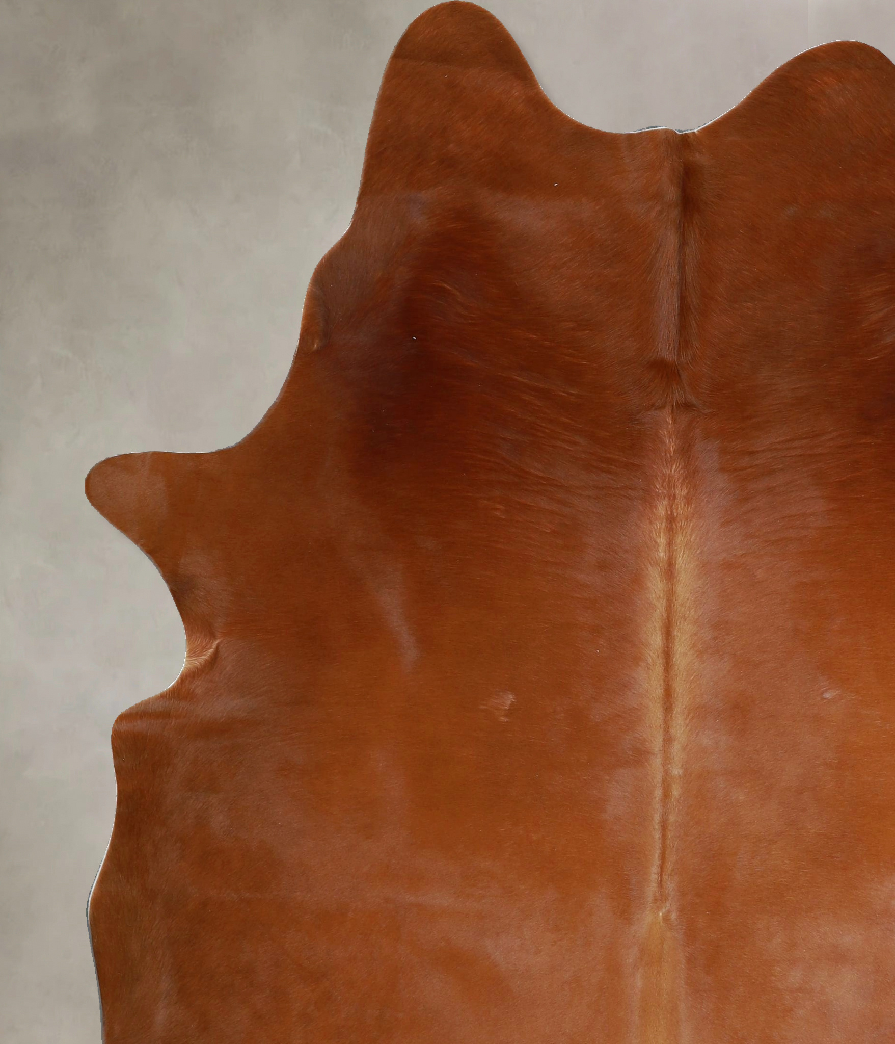 Solid Brown Cowhide Rug #A45429