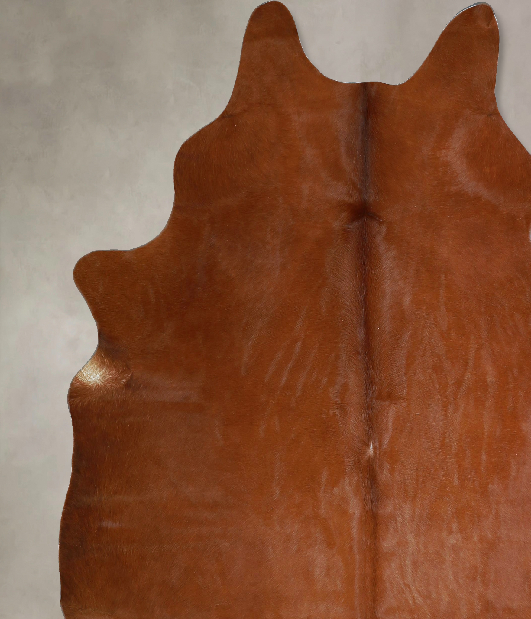 Solid Brown Cowhide Rug #A45431