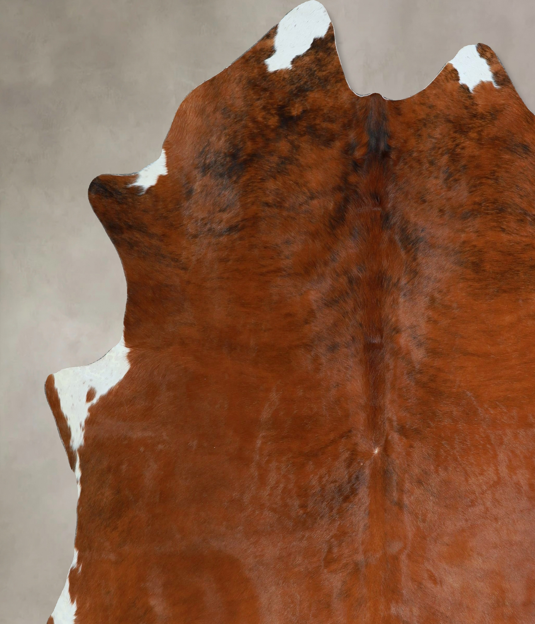 Medium Brindle Cowhide Rug #A45436