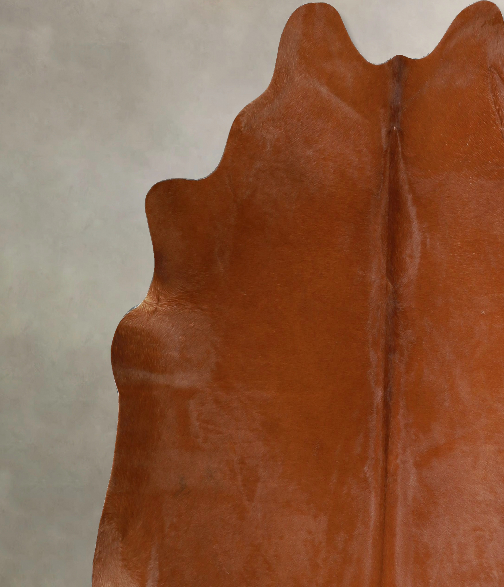 Solid Brown Cowhide Rug #A45437