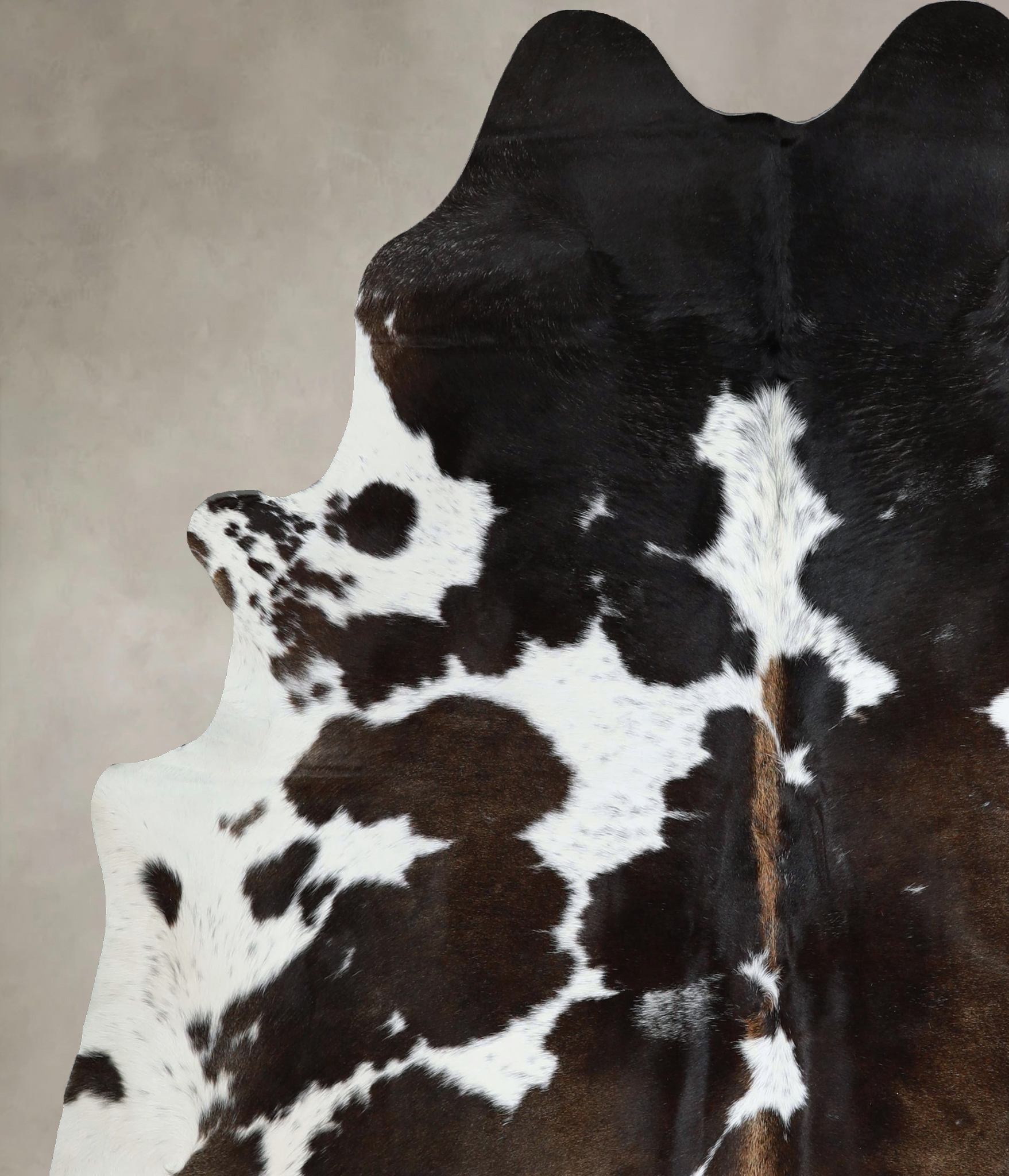 Chocolate and White Cowhide Rug #A45449