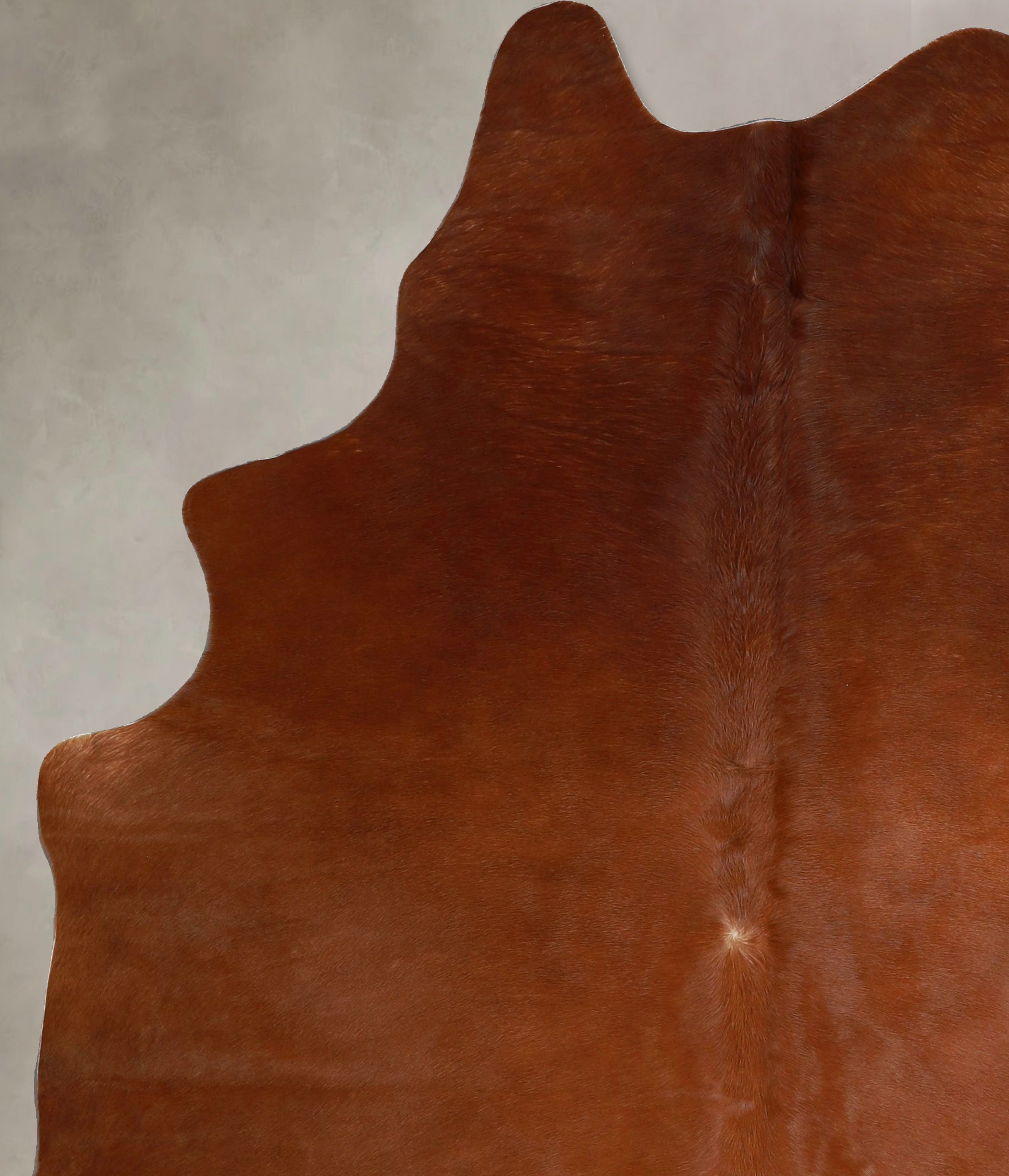 Solid Brown Cowhide Rug #A45472