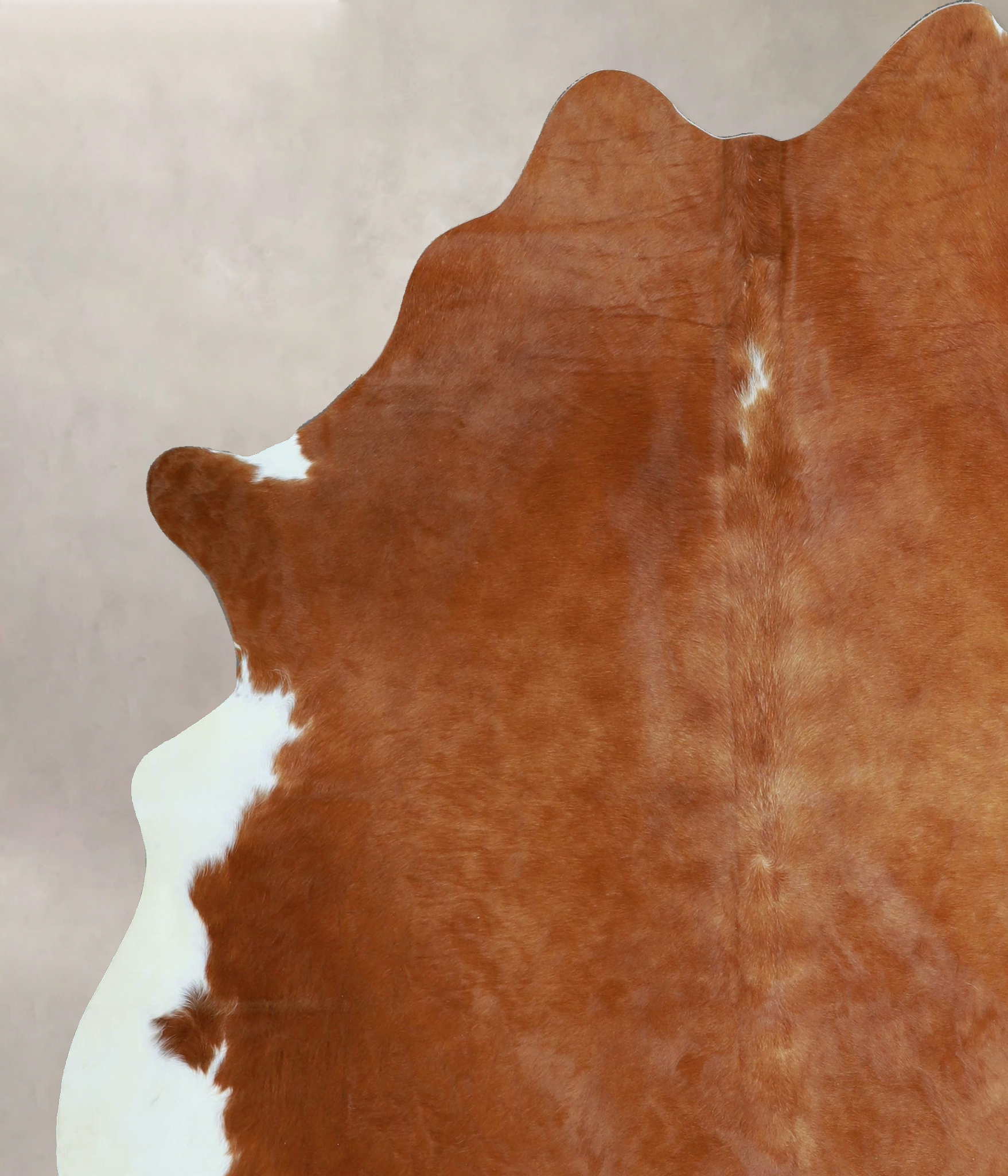 Brown and White Regular Cowhide Rug #A45475
