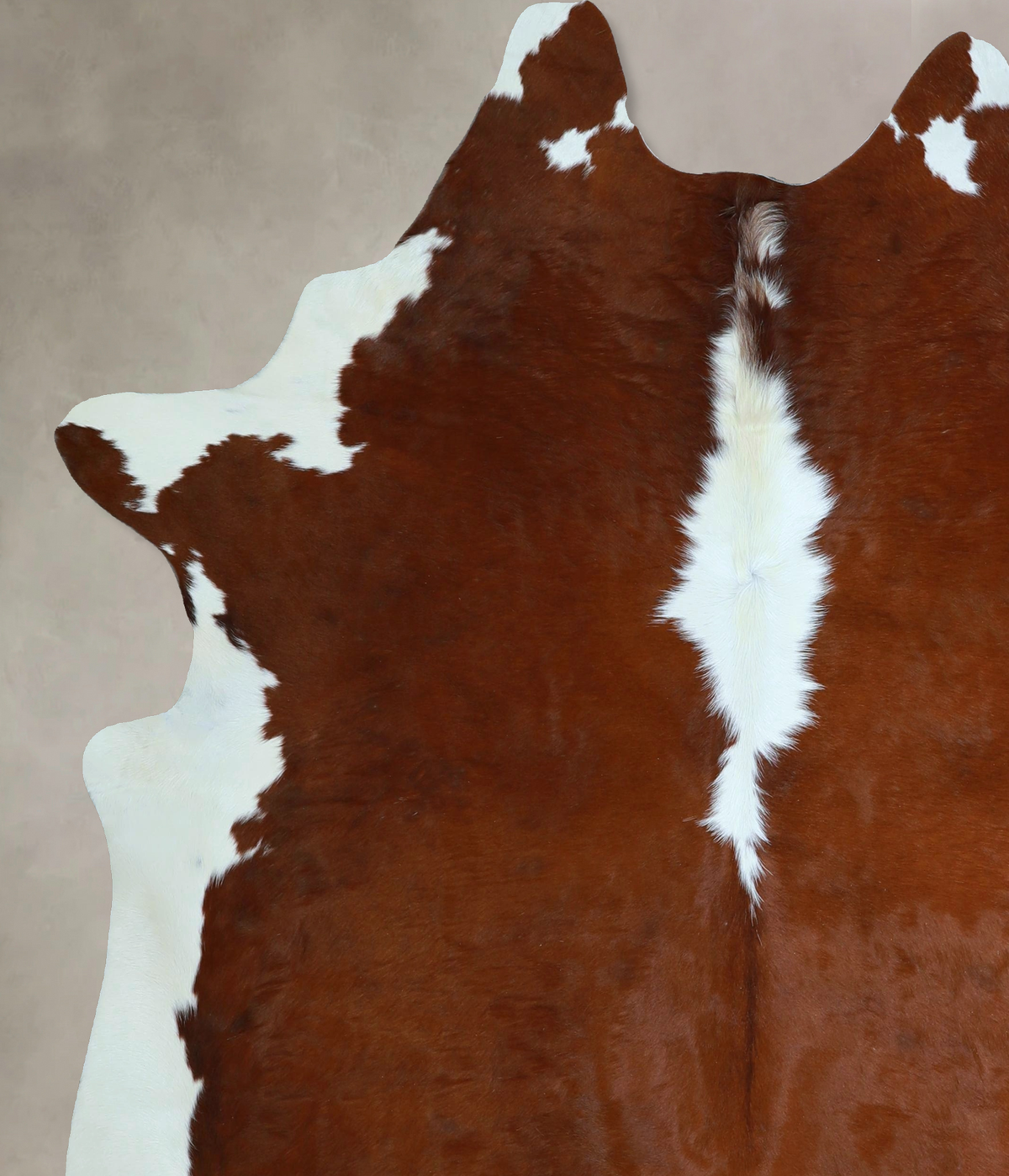 Hereford X-Large Brazilian Cowhide Rug 7'2"H x 6'7"W #A45476 by Hudson Hides