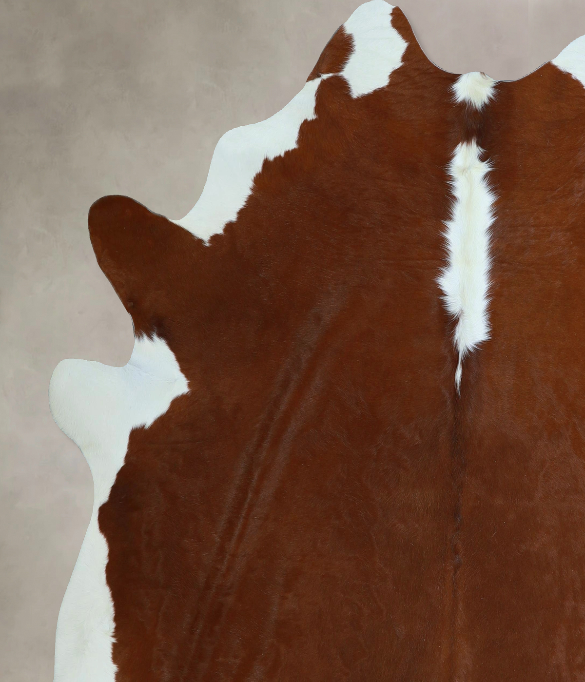 Hereford X-Large Brazilian Cowhide Rug 6'11"H x 6'8"W #A45479 by Hudson Hides