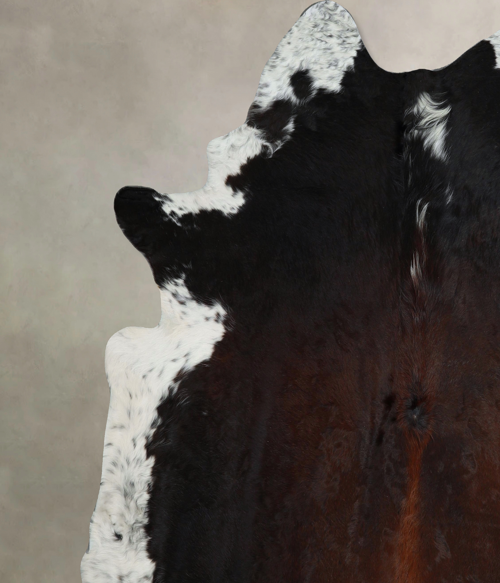 Chocolate and White Cowhide Rug #A45482