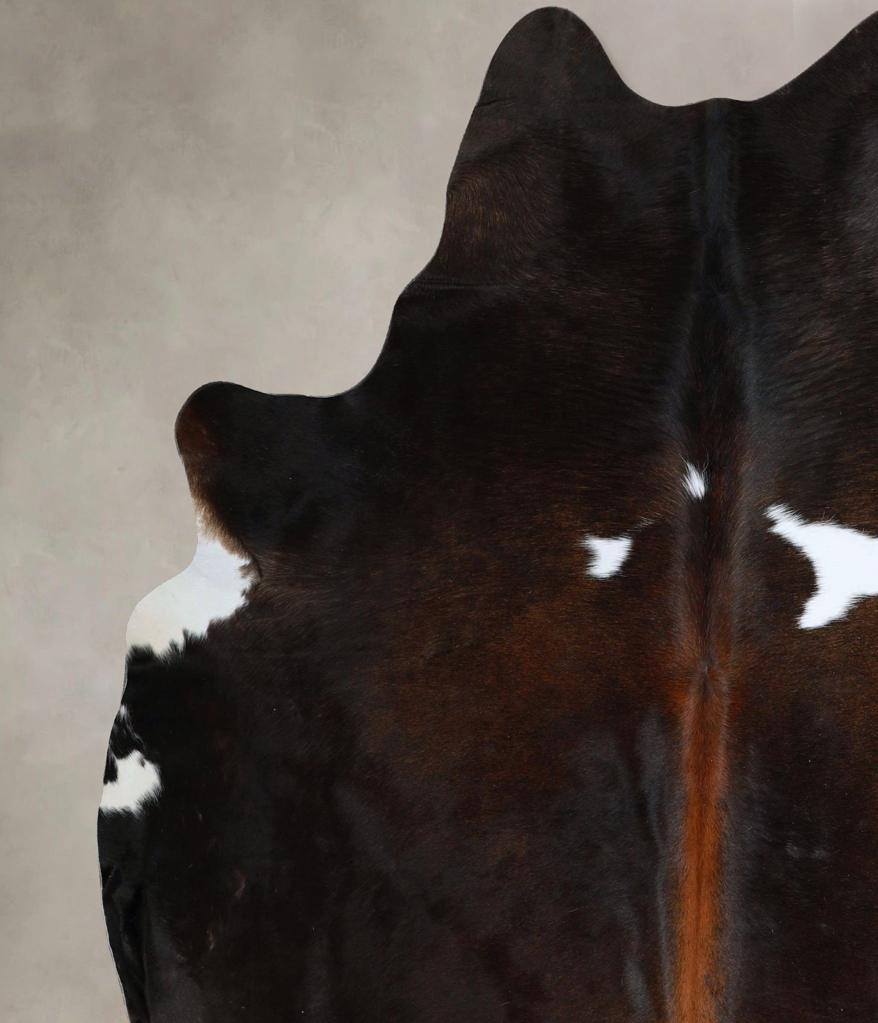 Chocolate and White Cowhide Rug #A45483