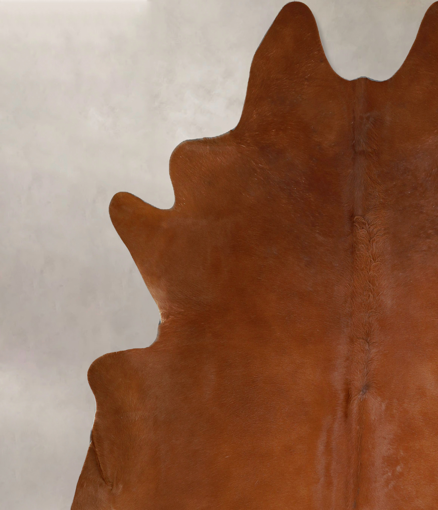 Solid Brown Cowhide Rug #A45491
