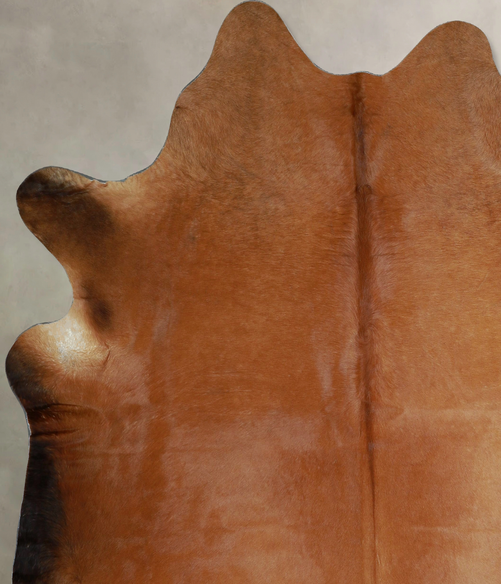 Solid Brown Cowhide Rug #A45492