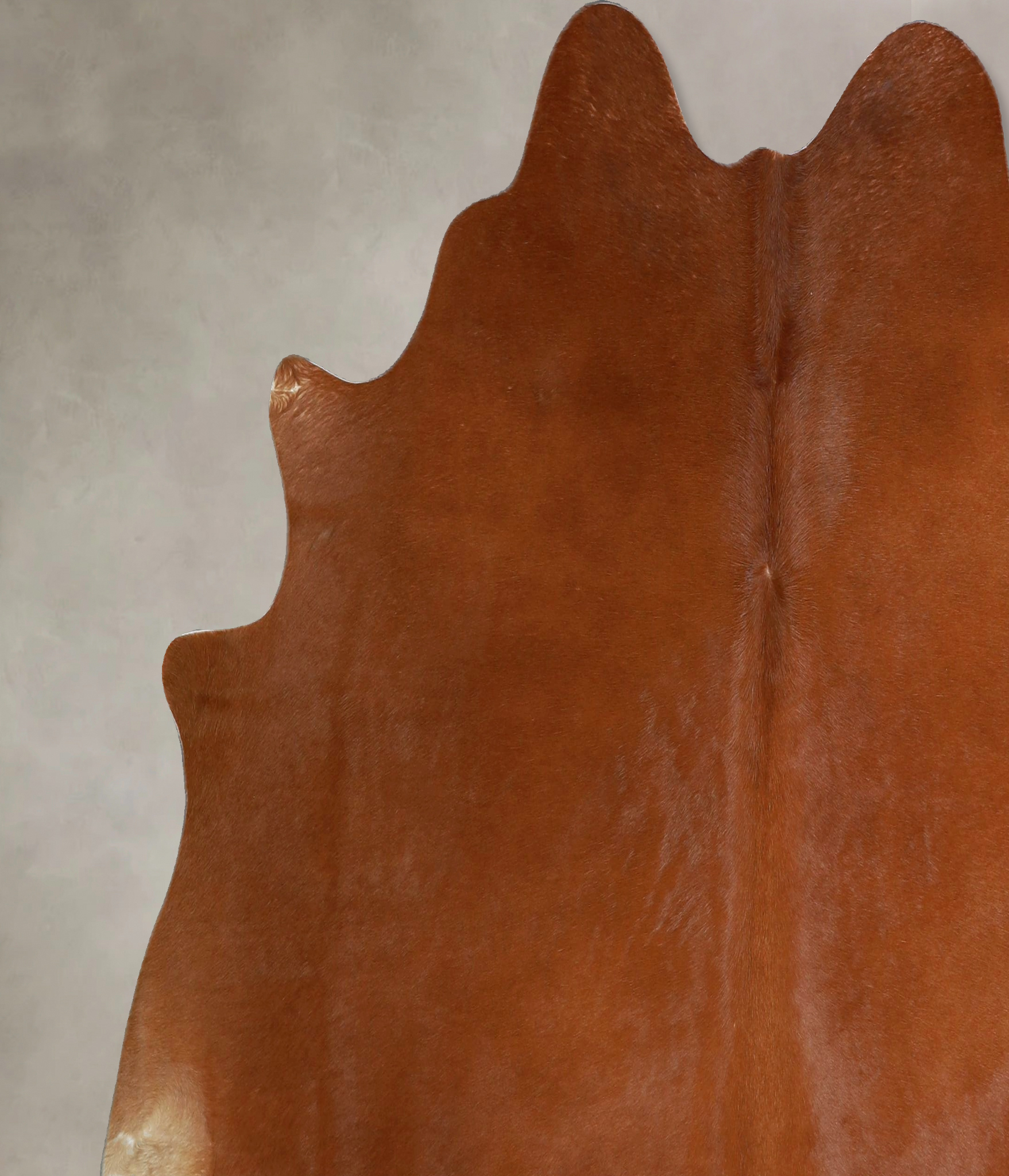 Solid Brown Cowhide Rug #A45496