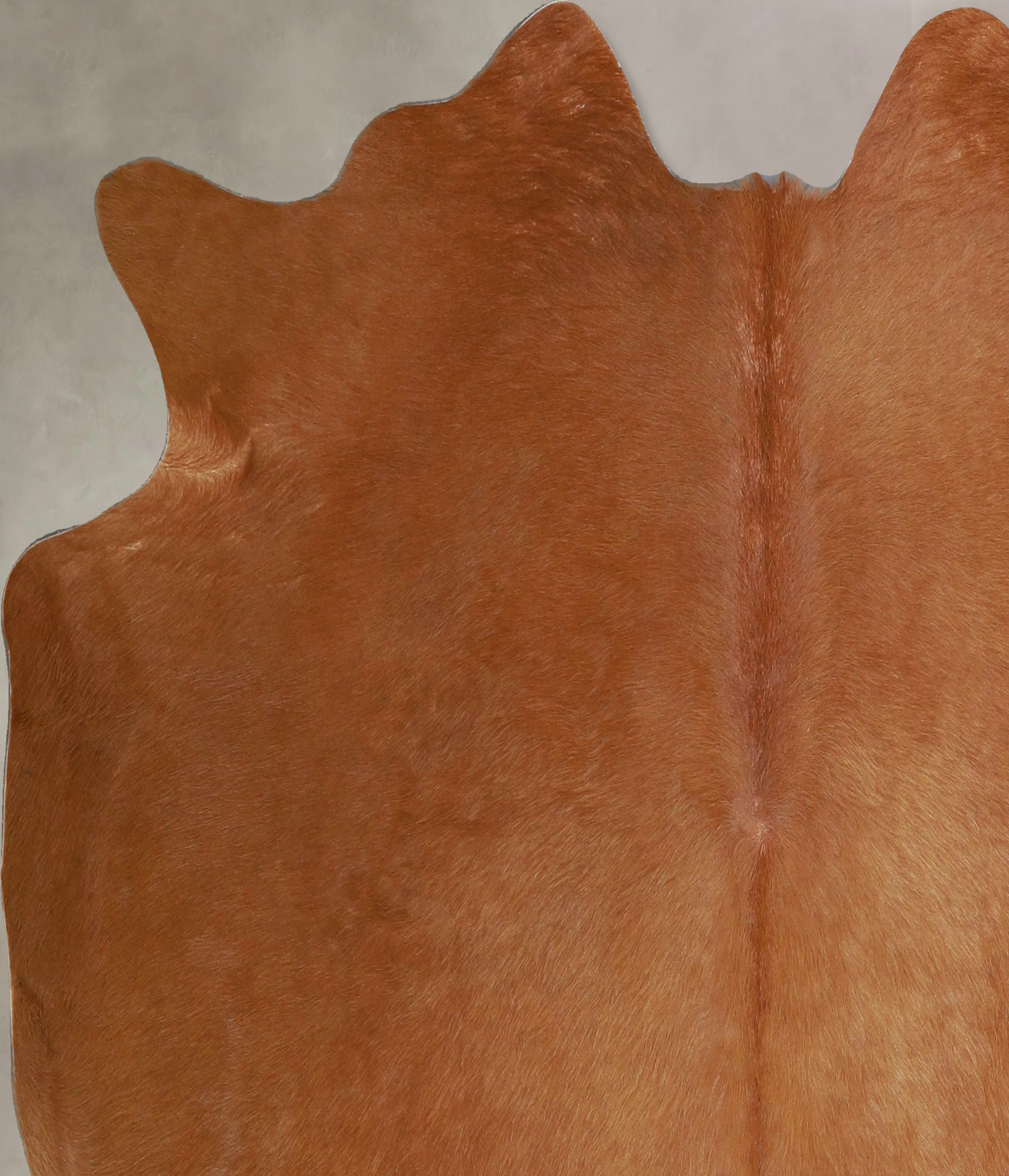 Solid Brown Cowhide Rug #A45499