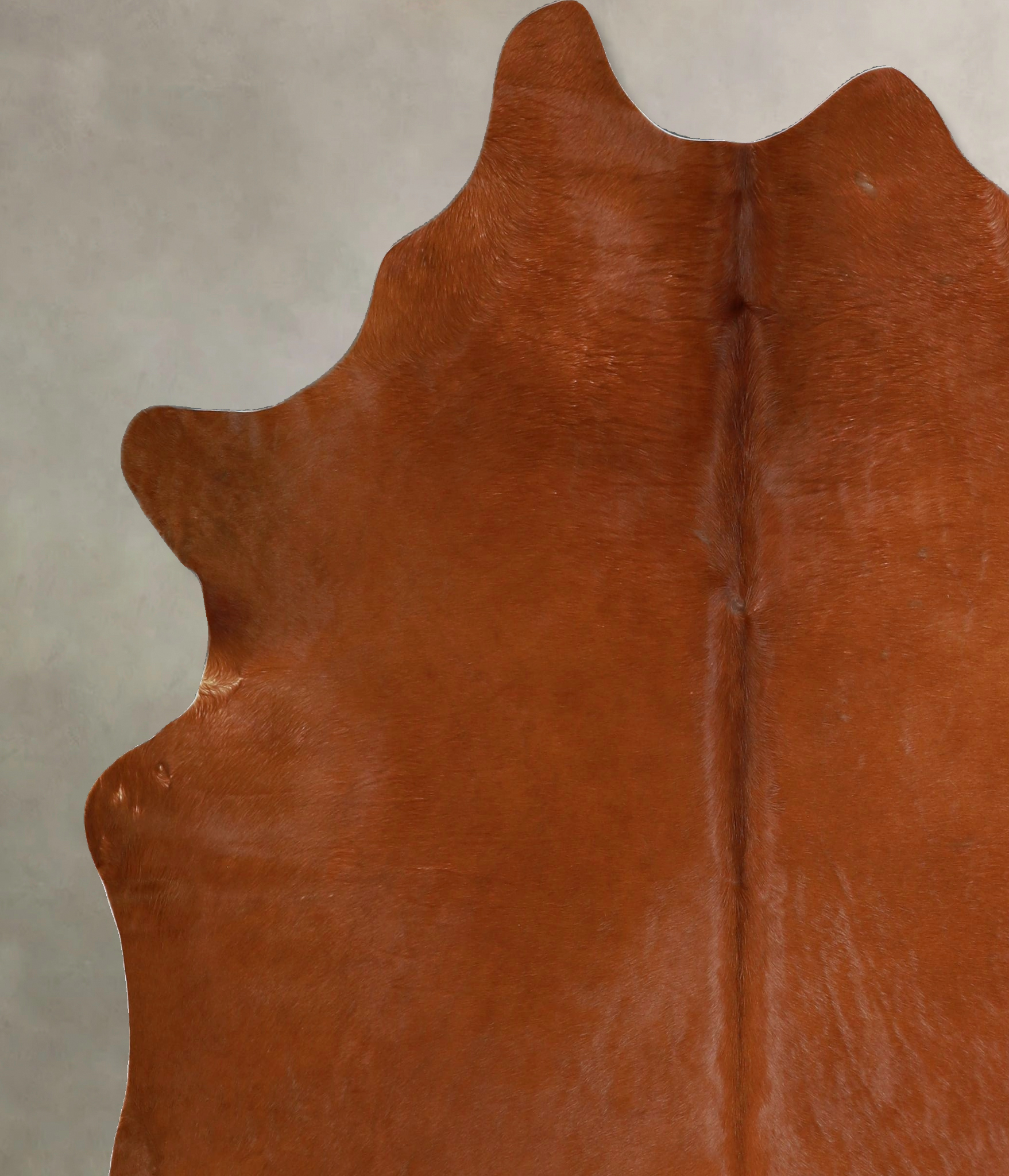 Solid Brown Cowhide Rug #A45500